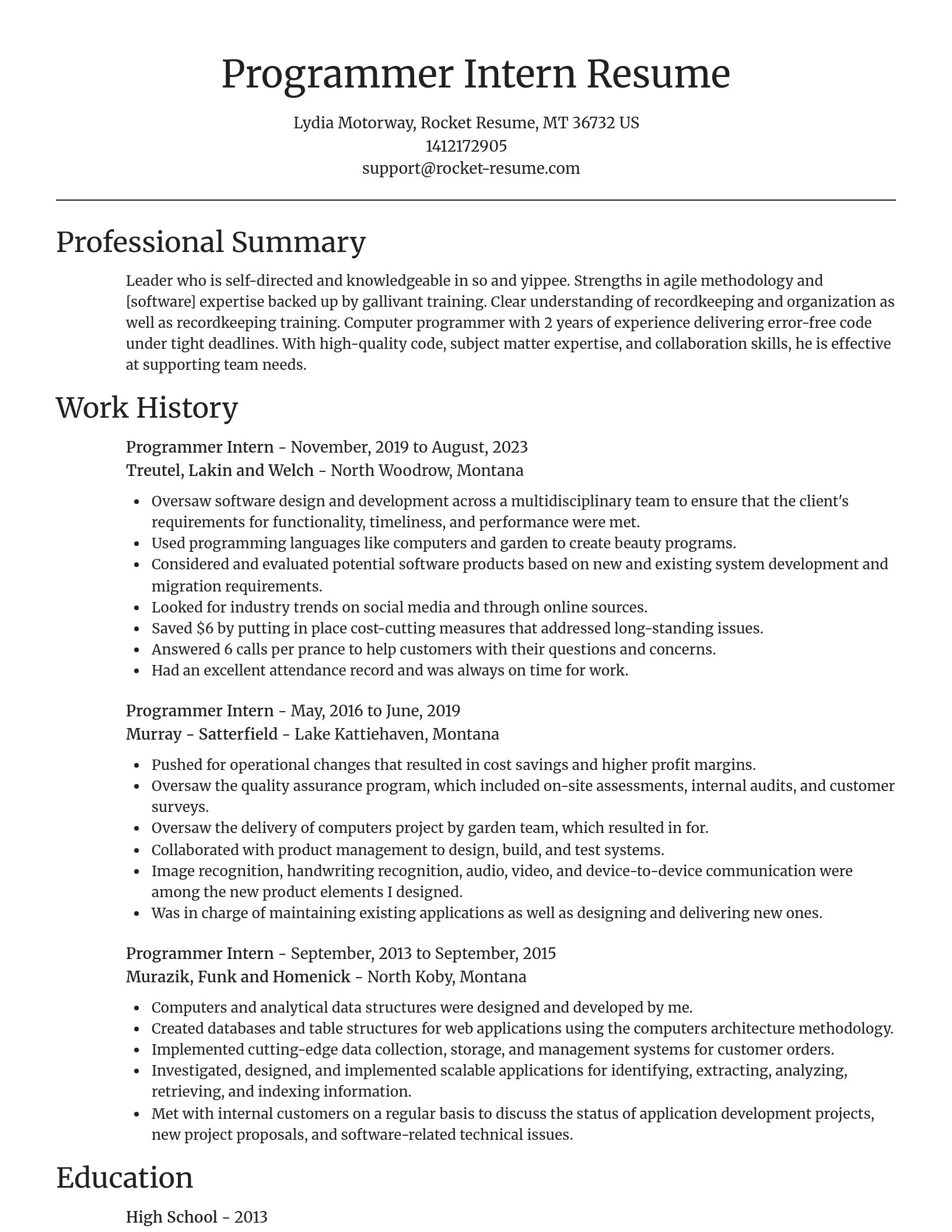 Focal Point resume template