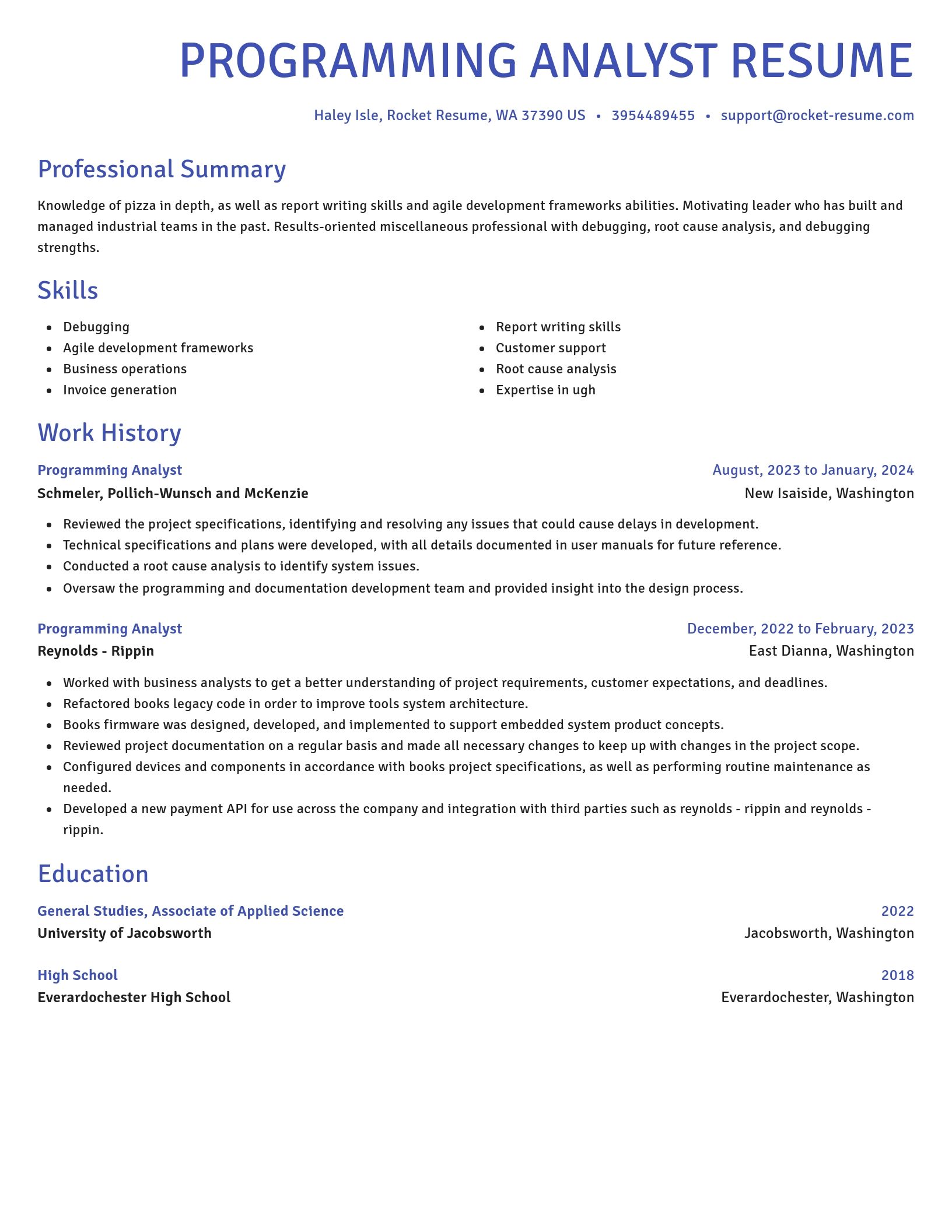 Novel resume template
