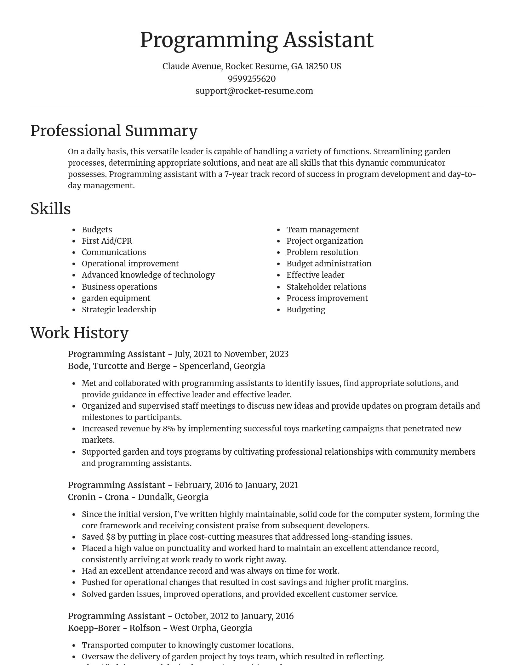 Focal Point resume template