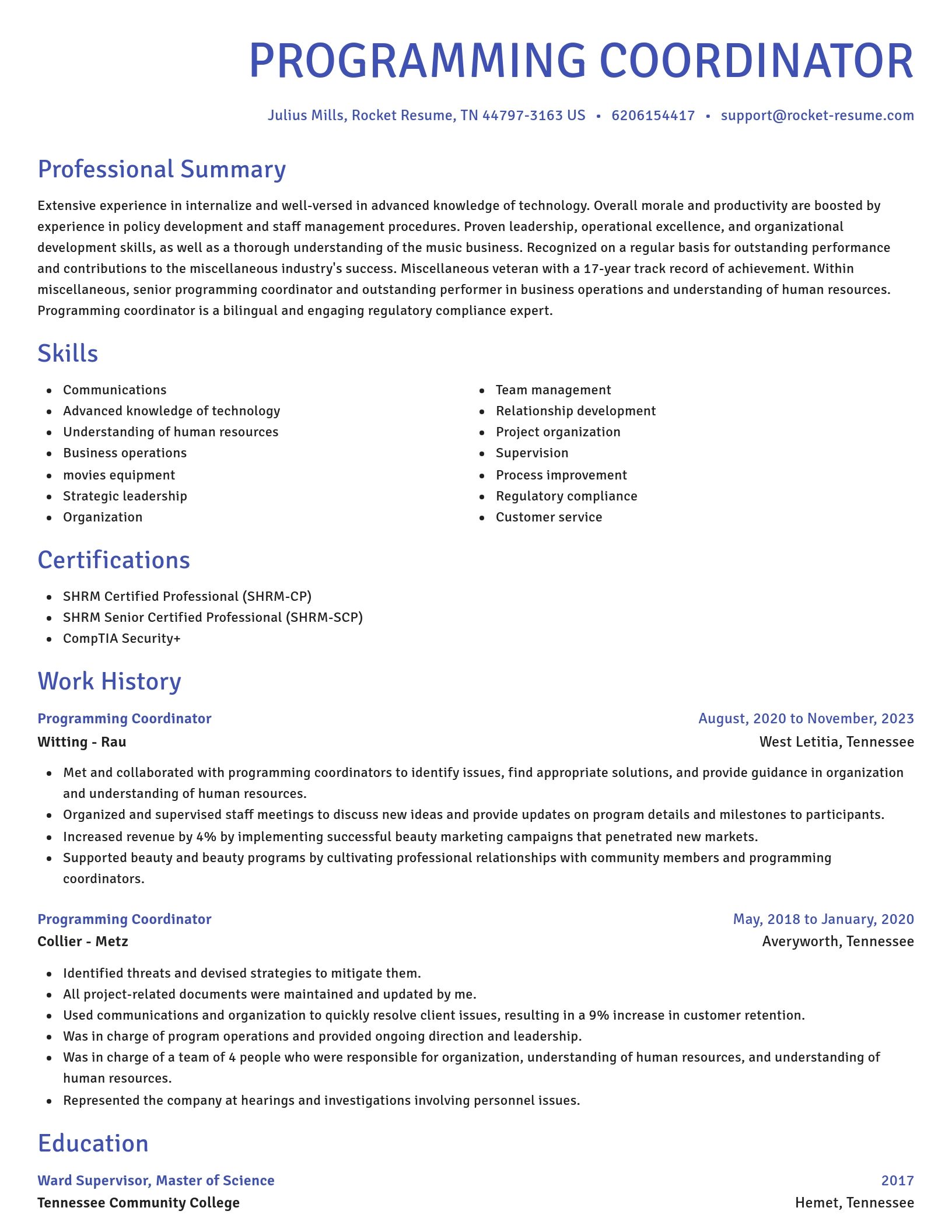 Novel resume template