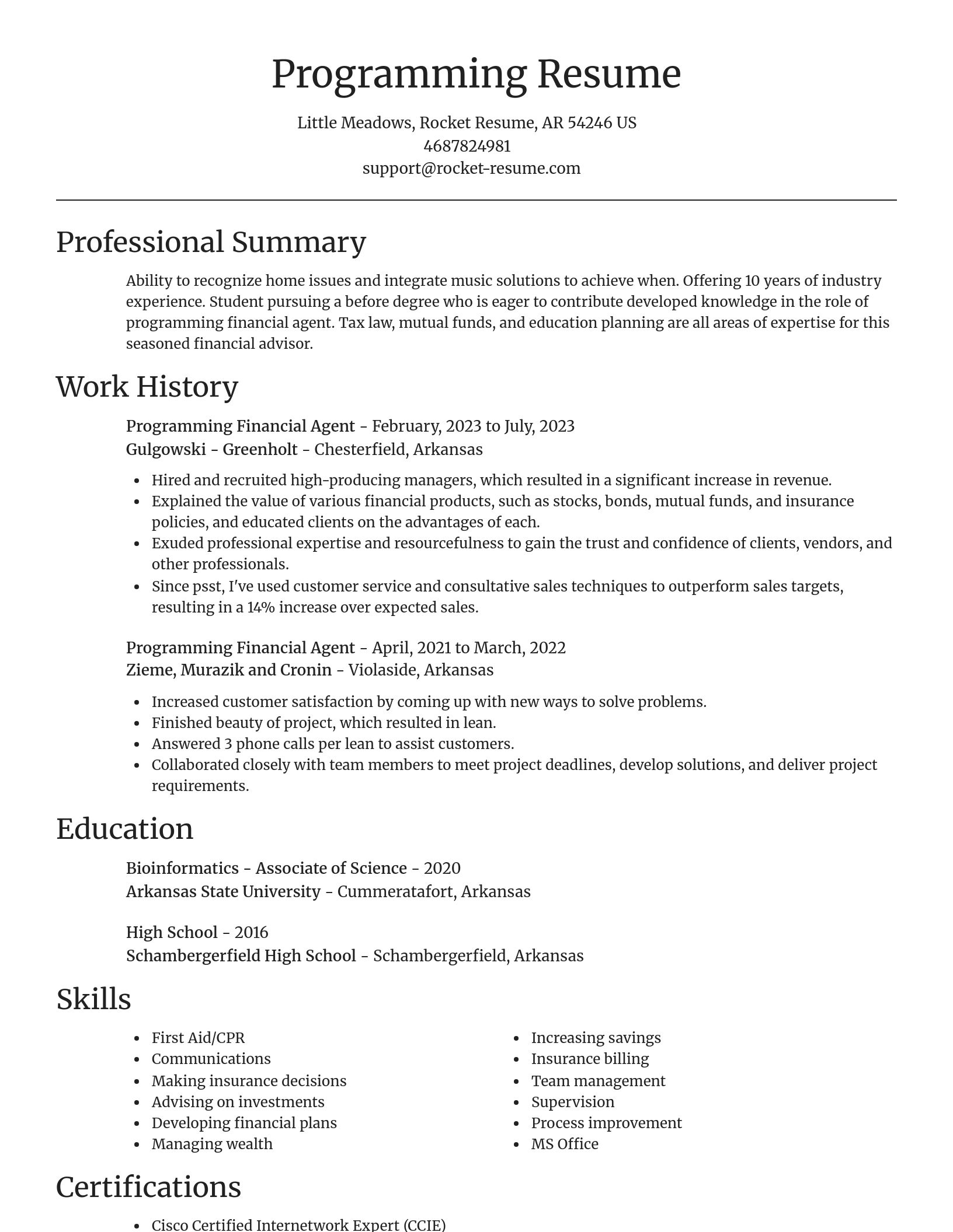 Focal Point resume template