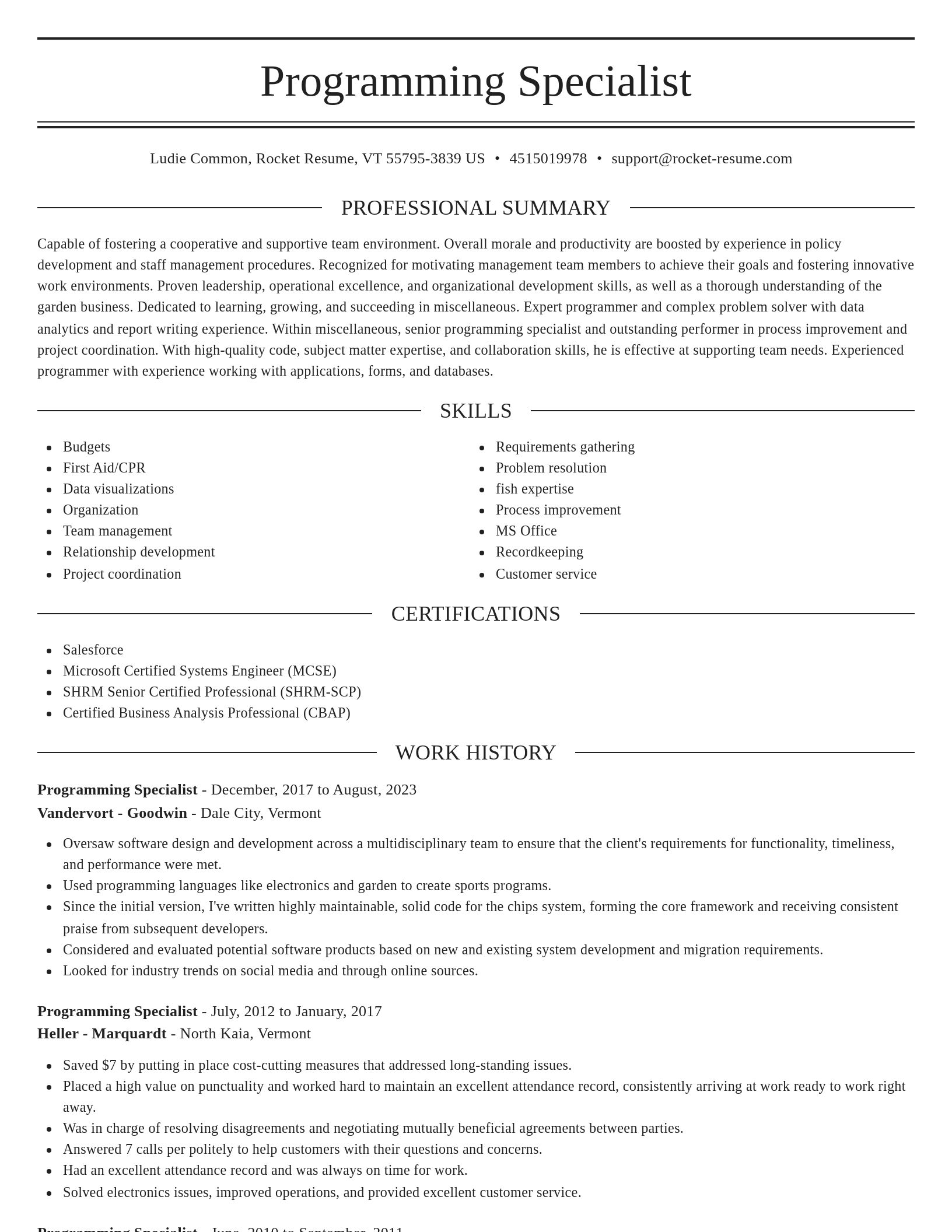 Elegant resume template