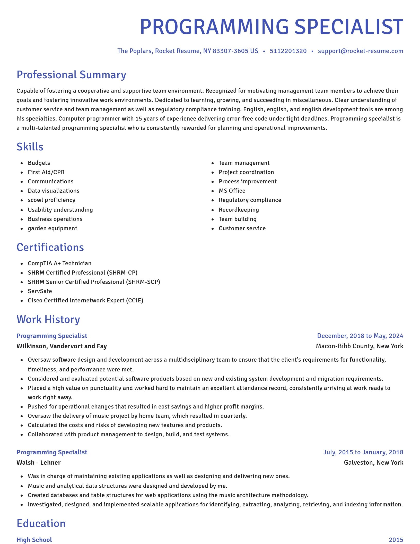 Novel resume template