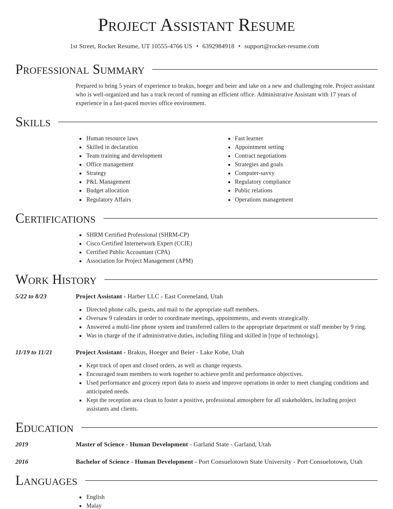 Director resume template