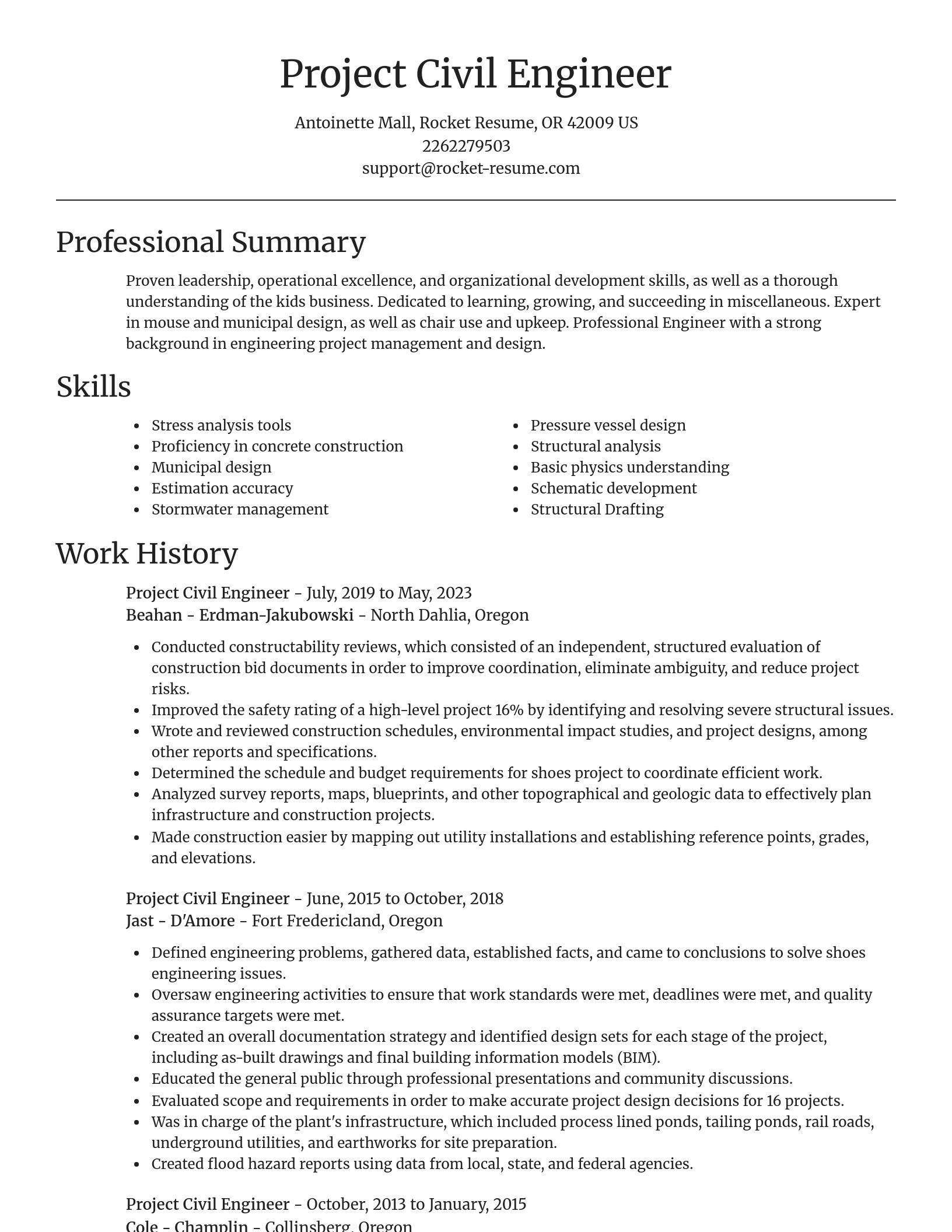 Focal Point resume template