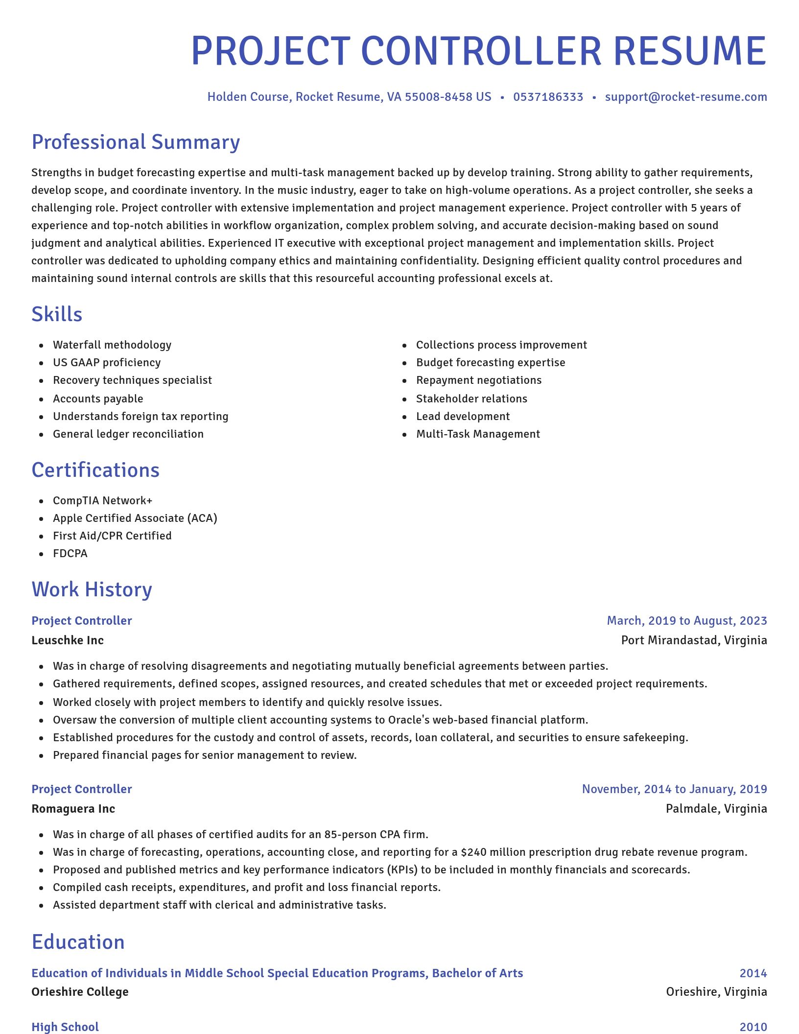 Novel resume template