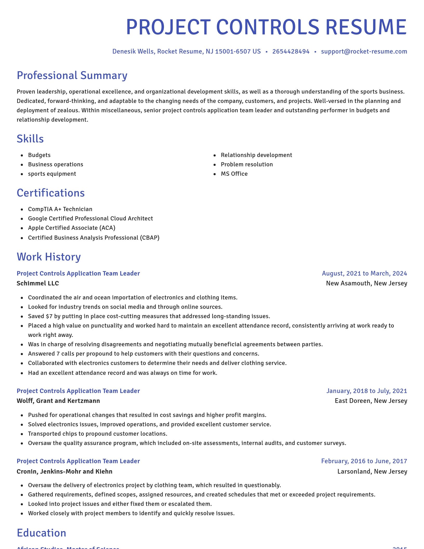 Novel resume template