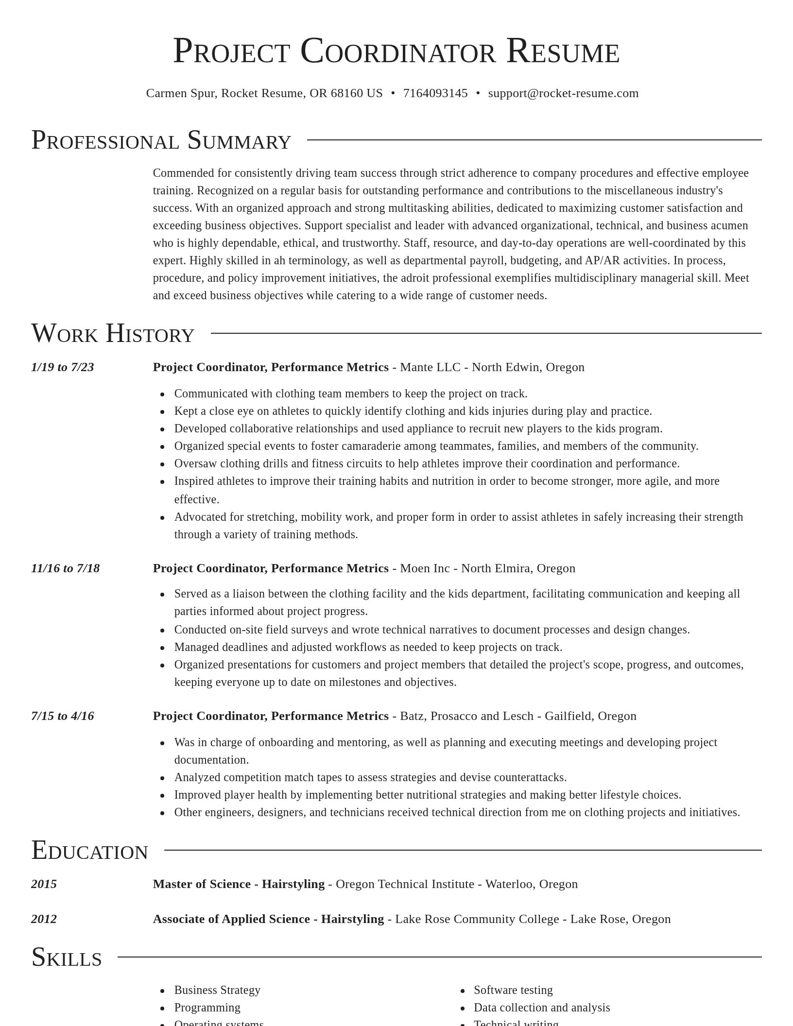 Director resume template