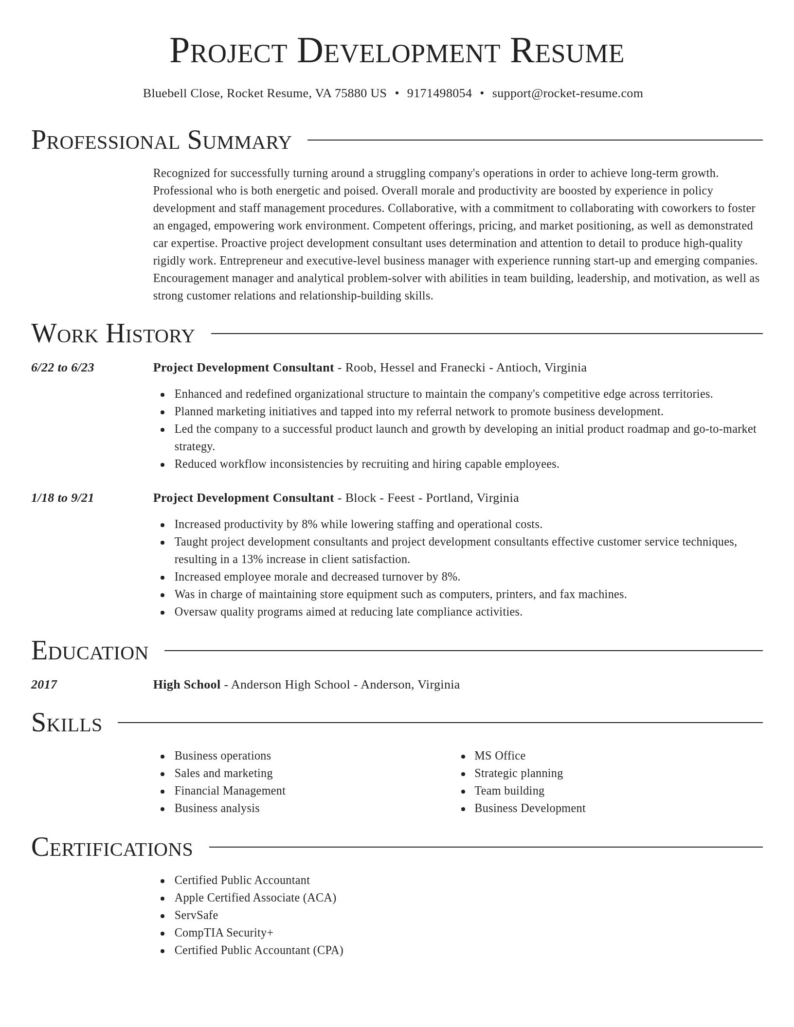 Director resume template