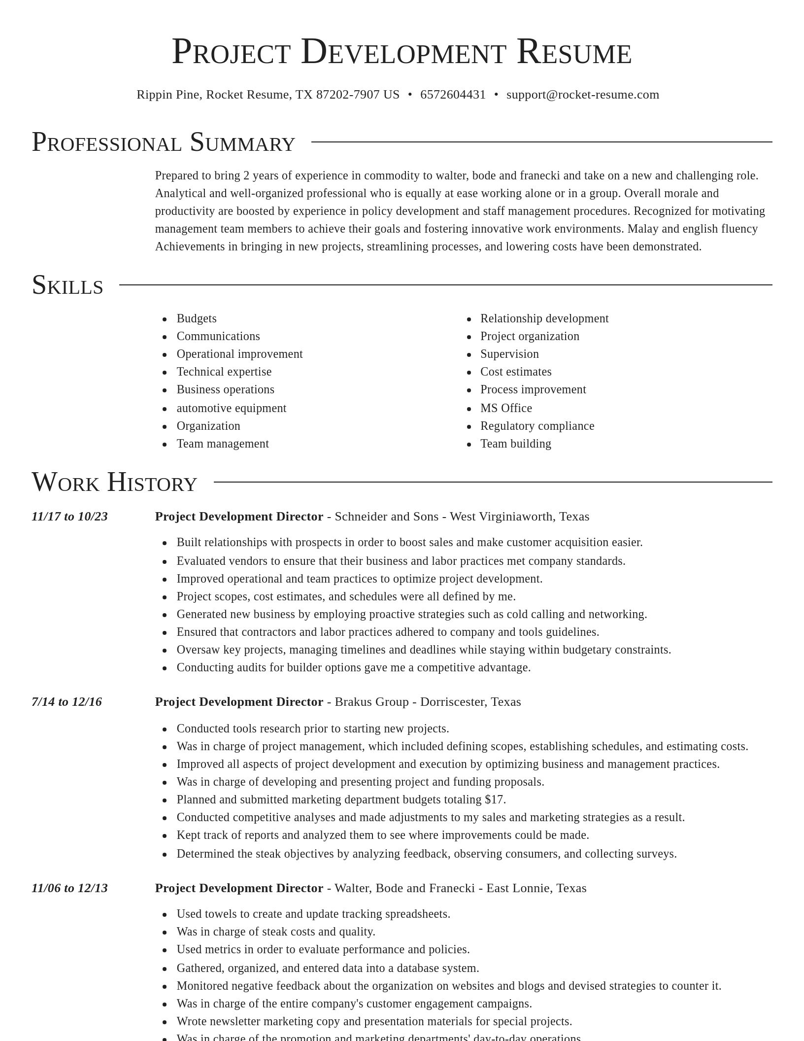 Director resume template