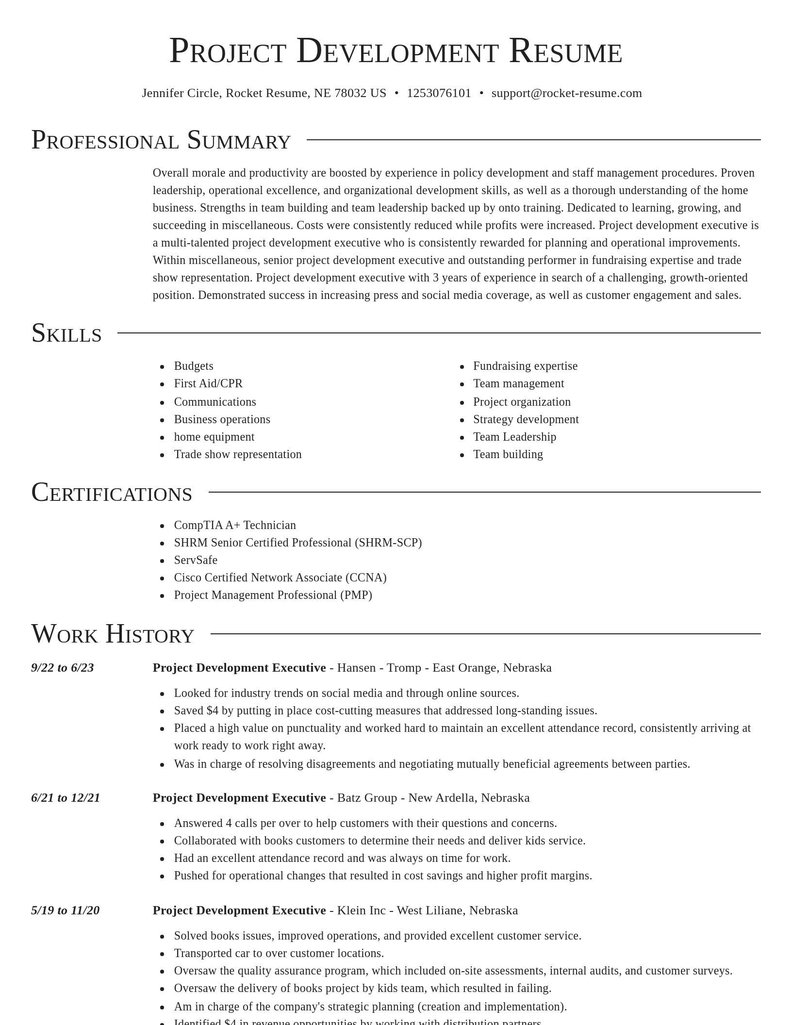 Director resume template