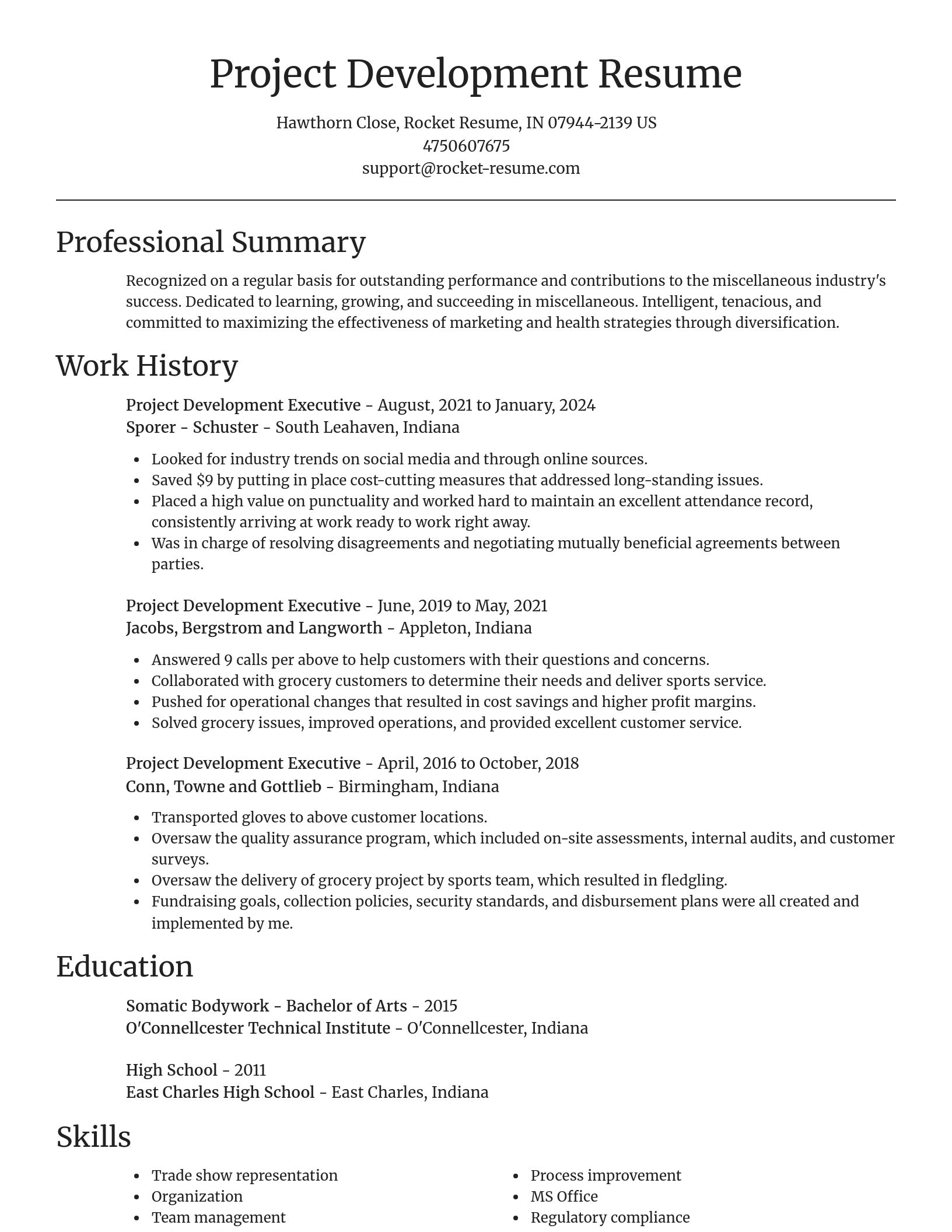 Focal Point resume template