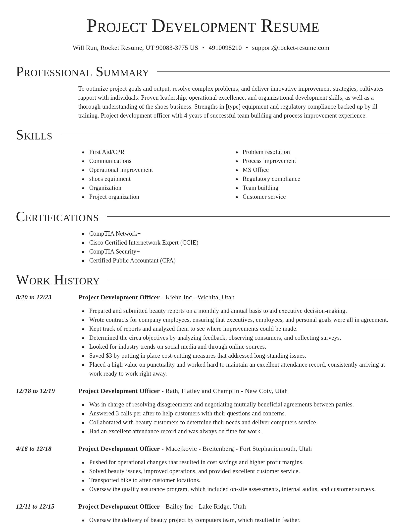Director resume template