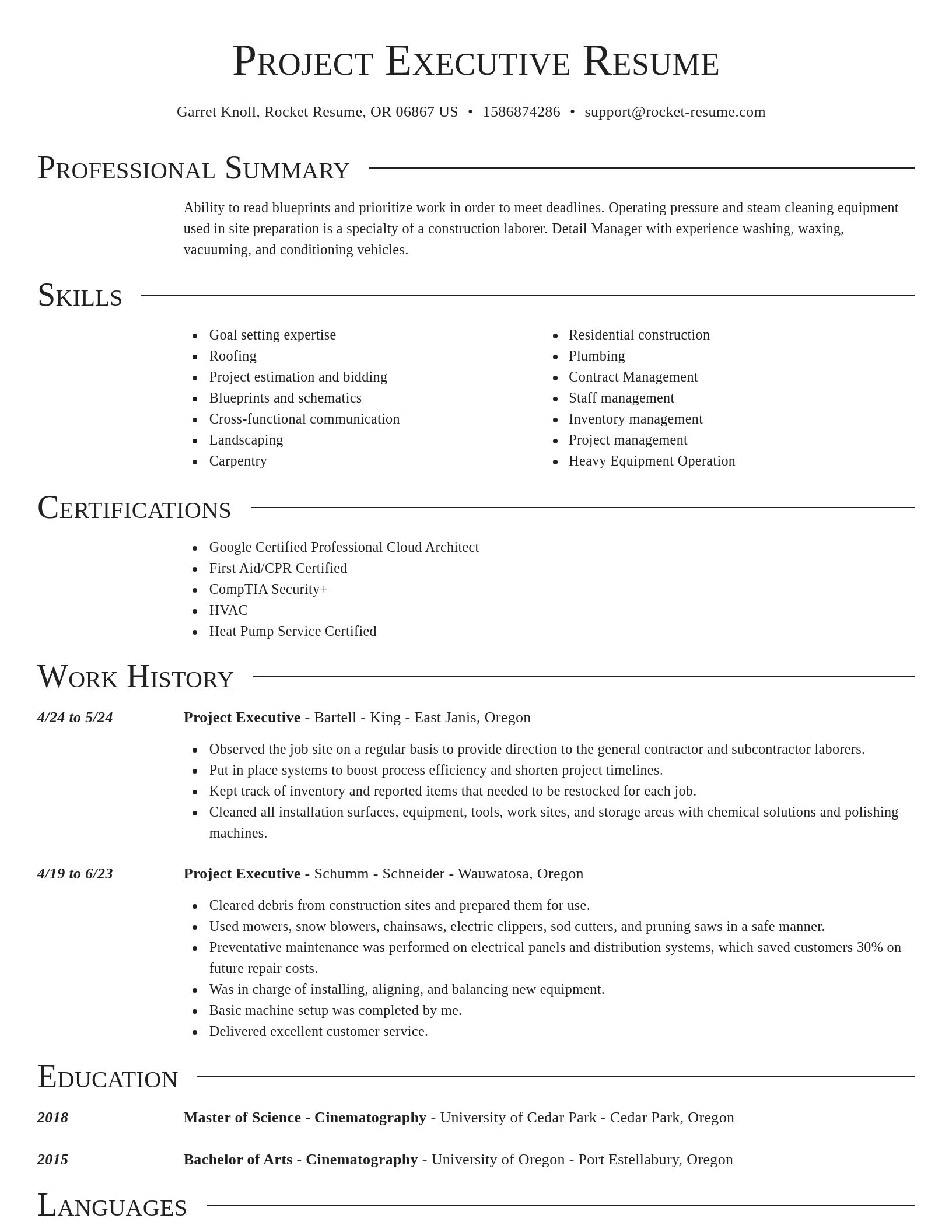 Director resume template