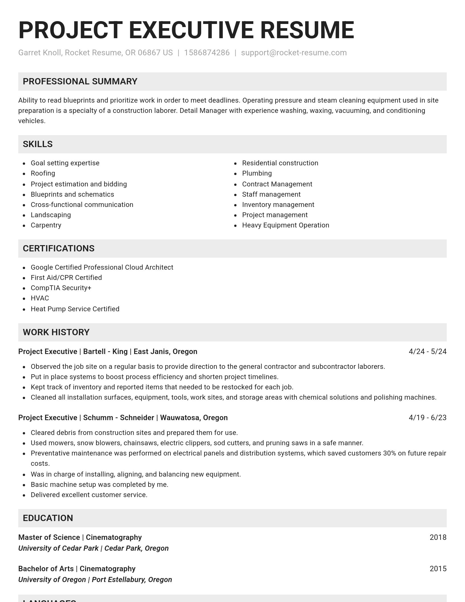 Genius resume template