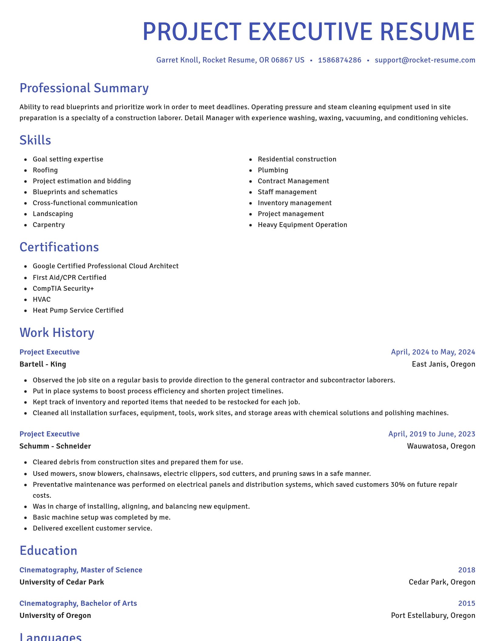 Novel resume template