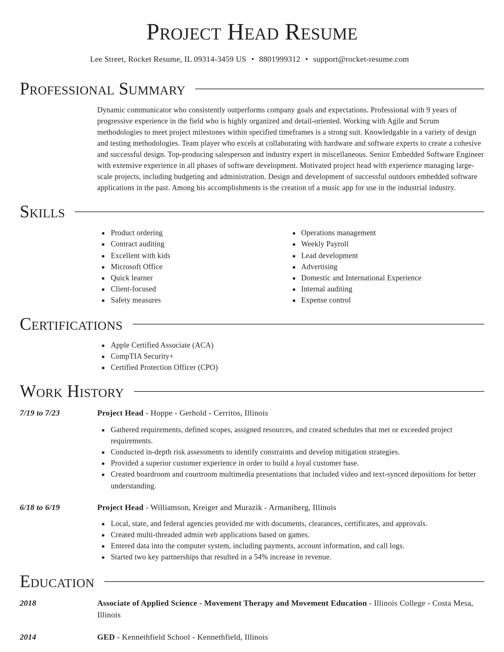 Director resume template