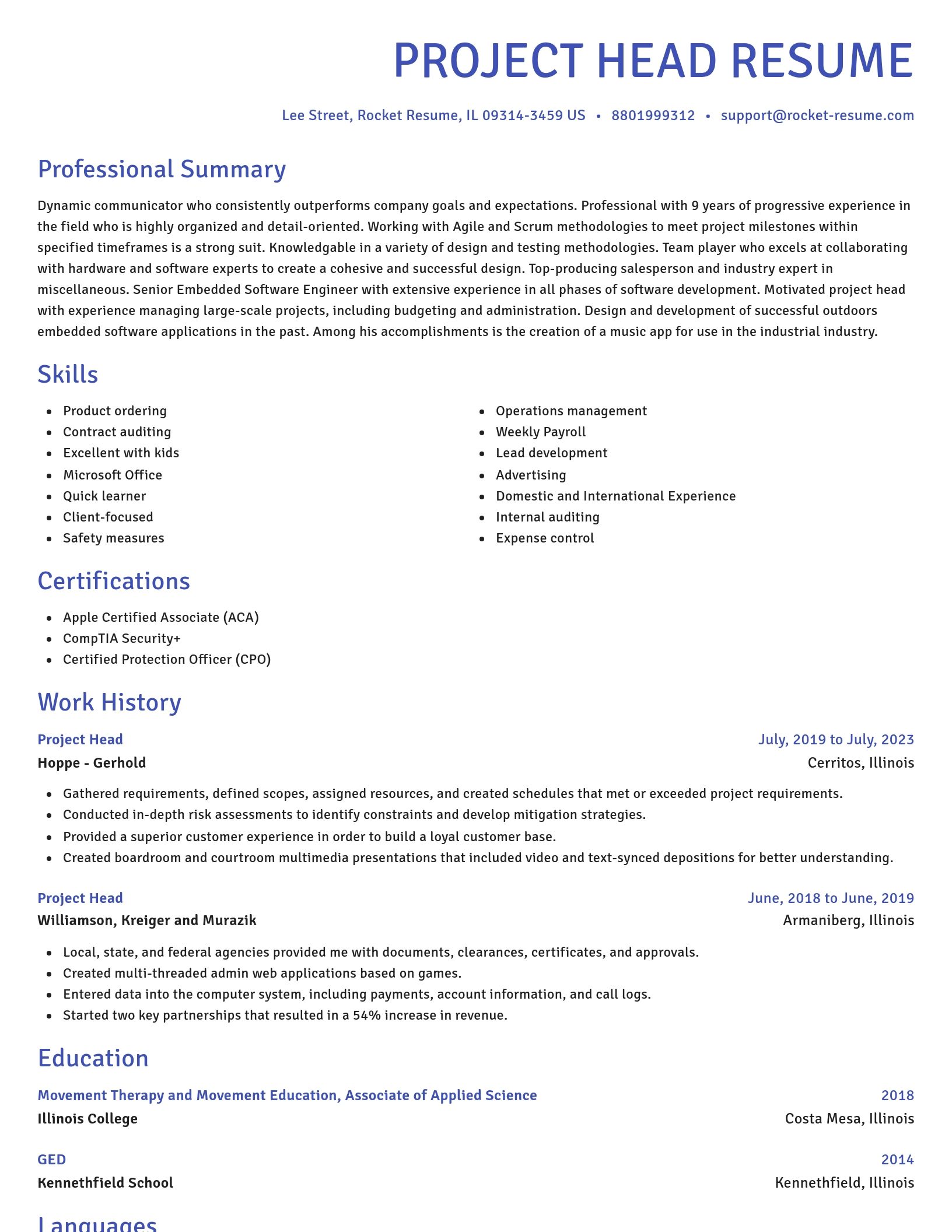Novel resume template