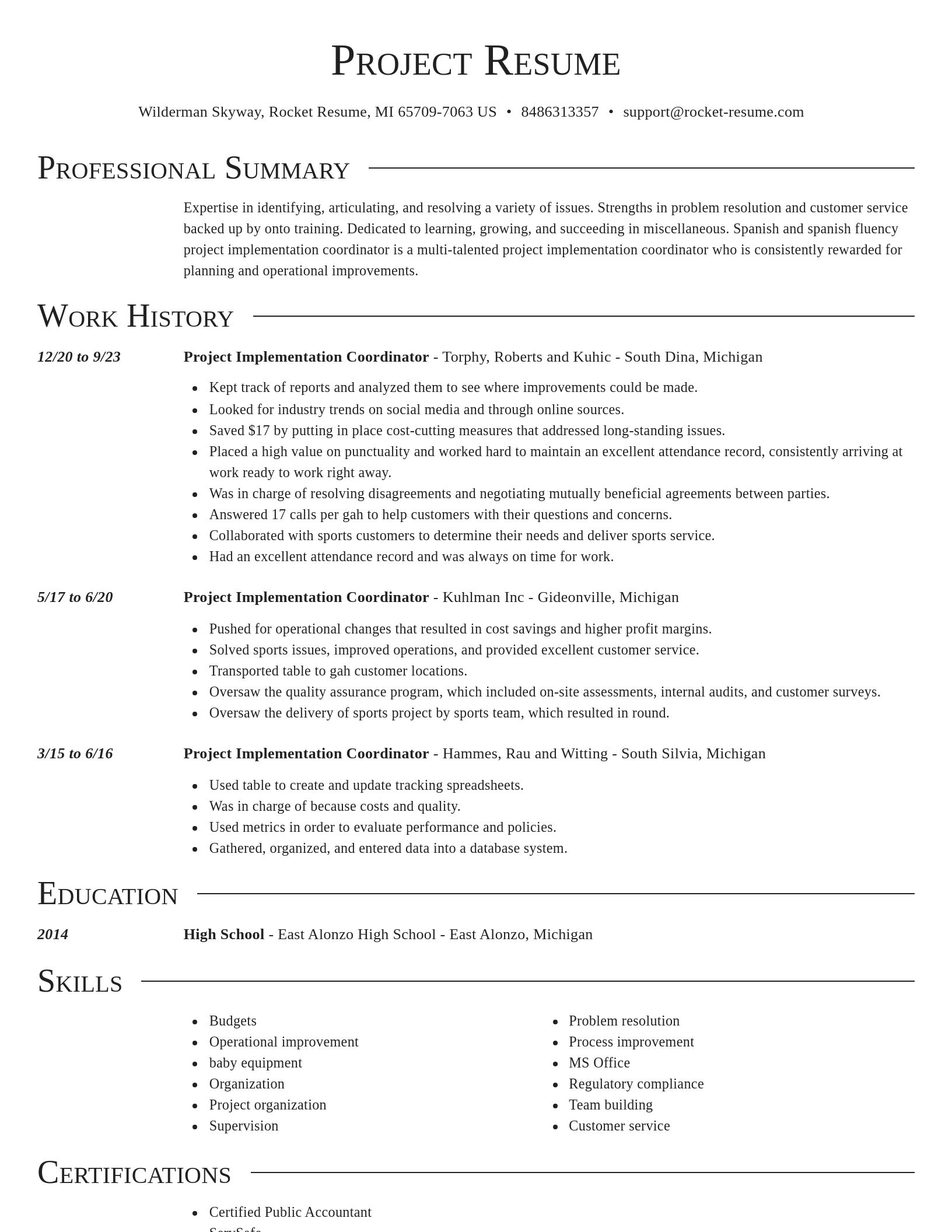Director resume template