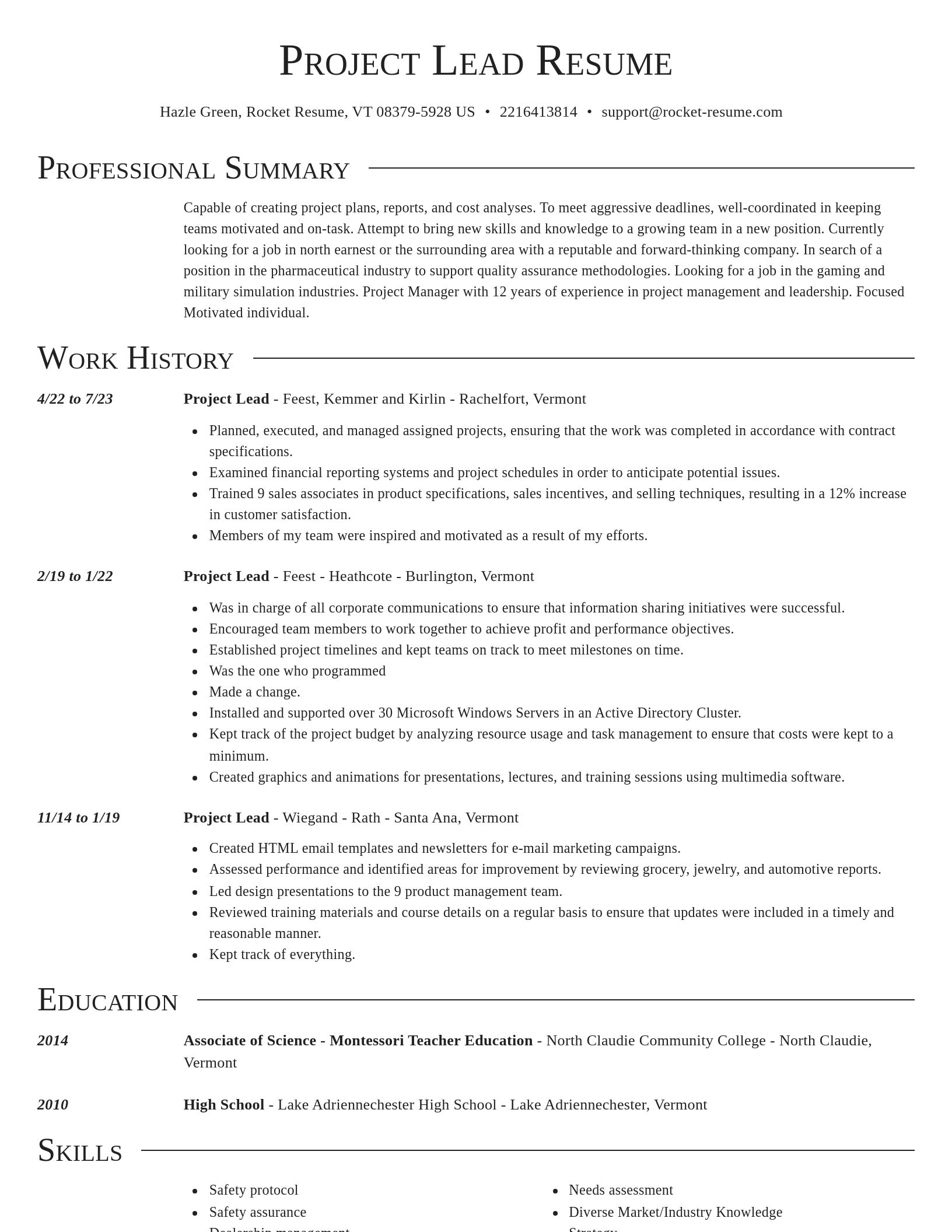 Director resume template