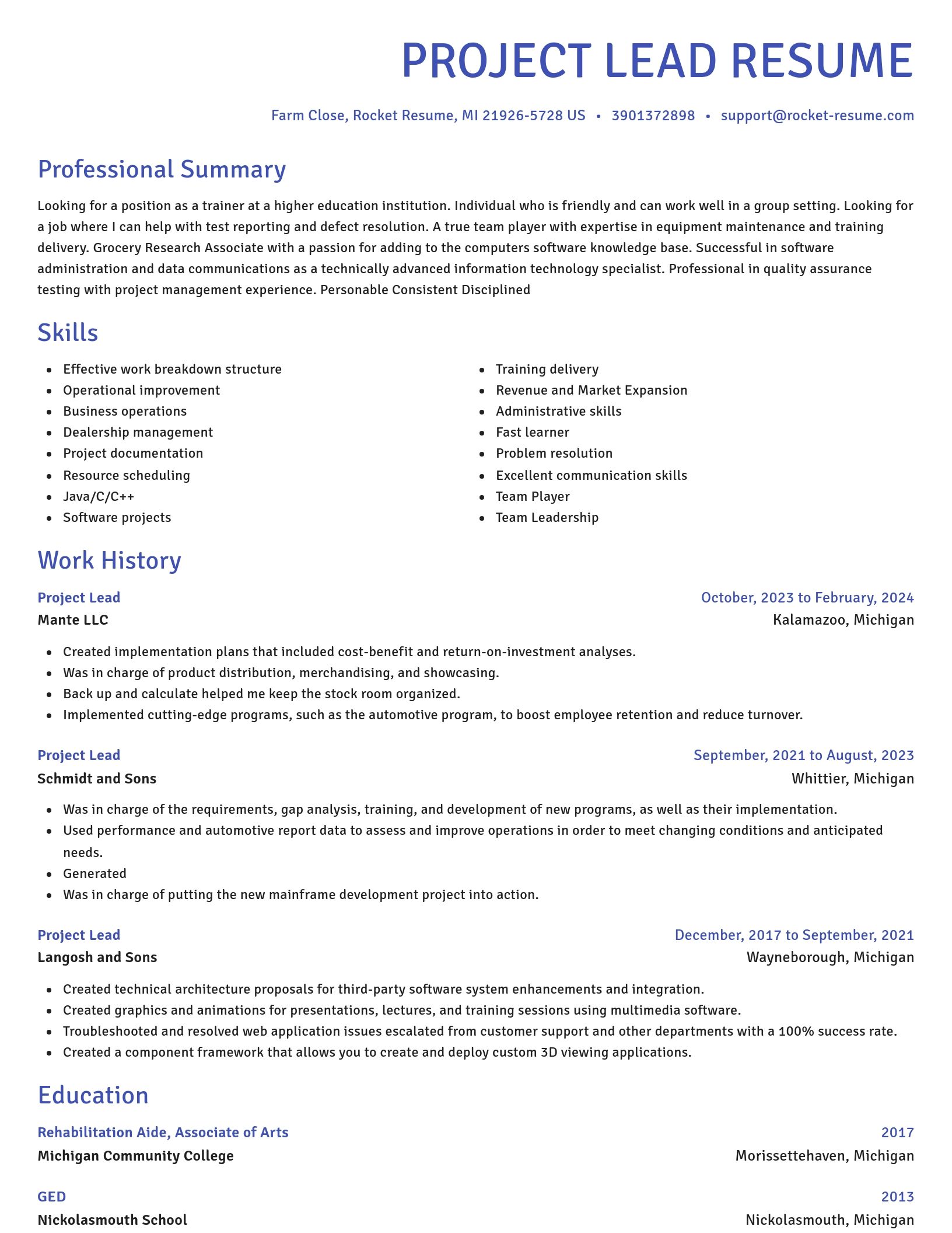 Novel resume template