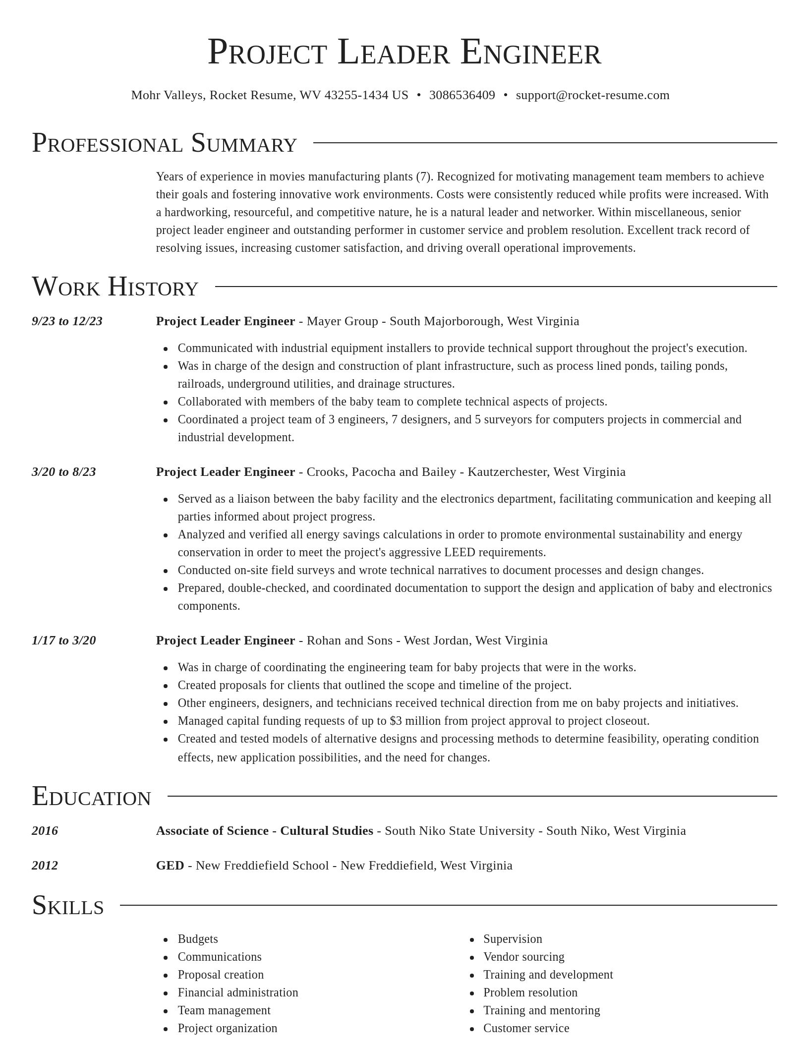 Director resume template