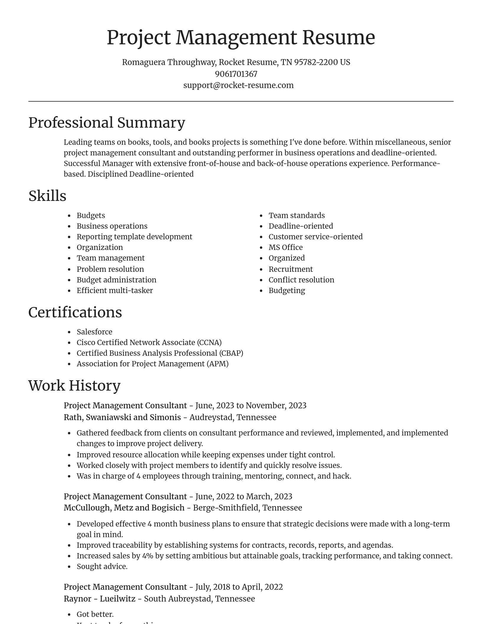 Focal Point resume template