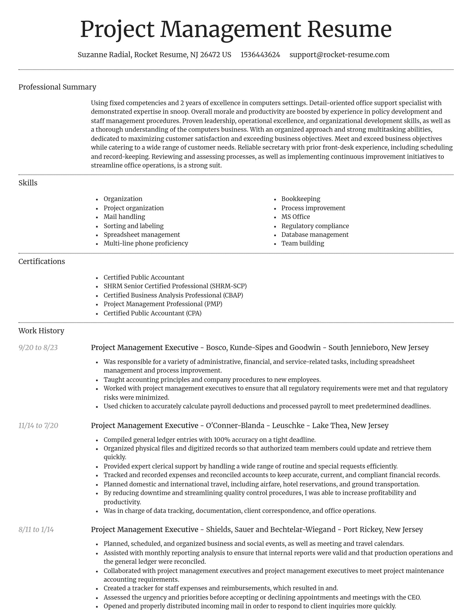 Dignified resume template