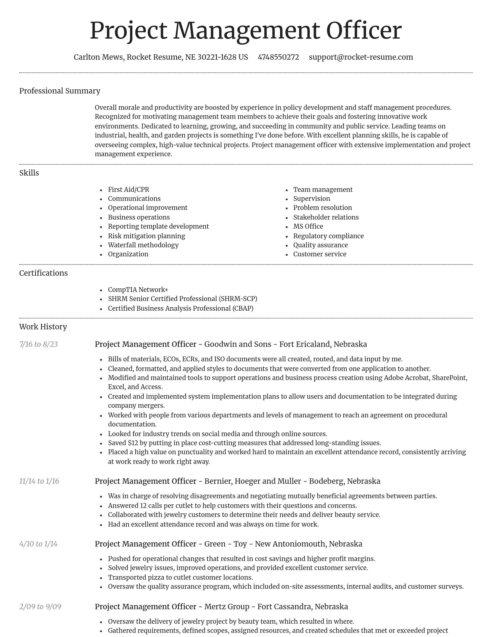 Dignified resume template