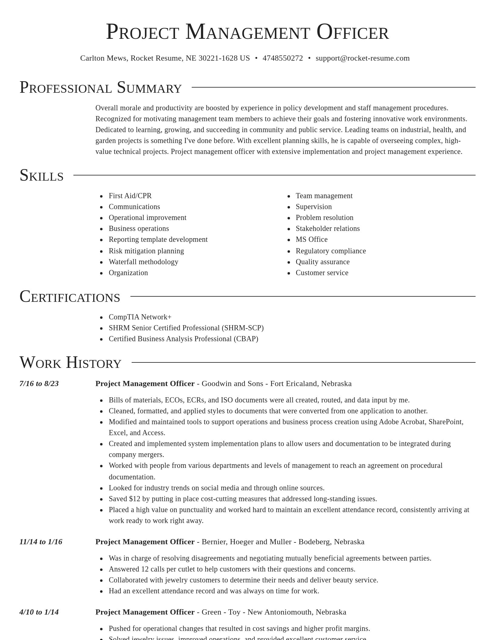Director resume template