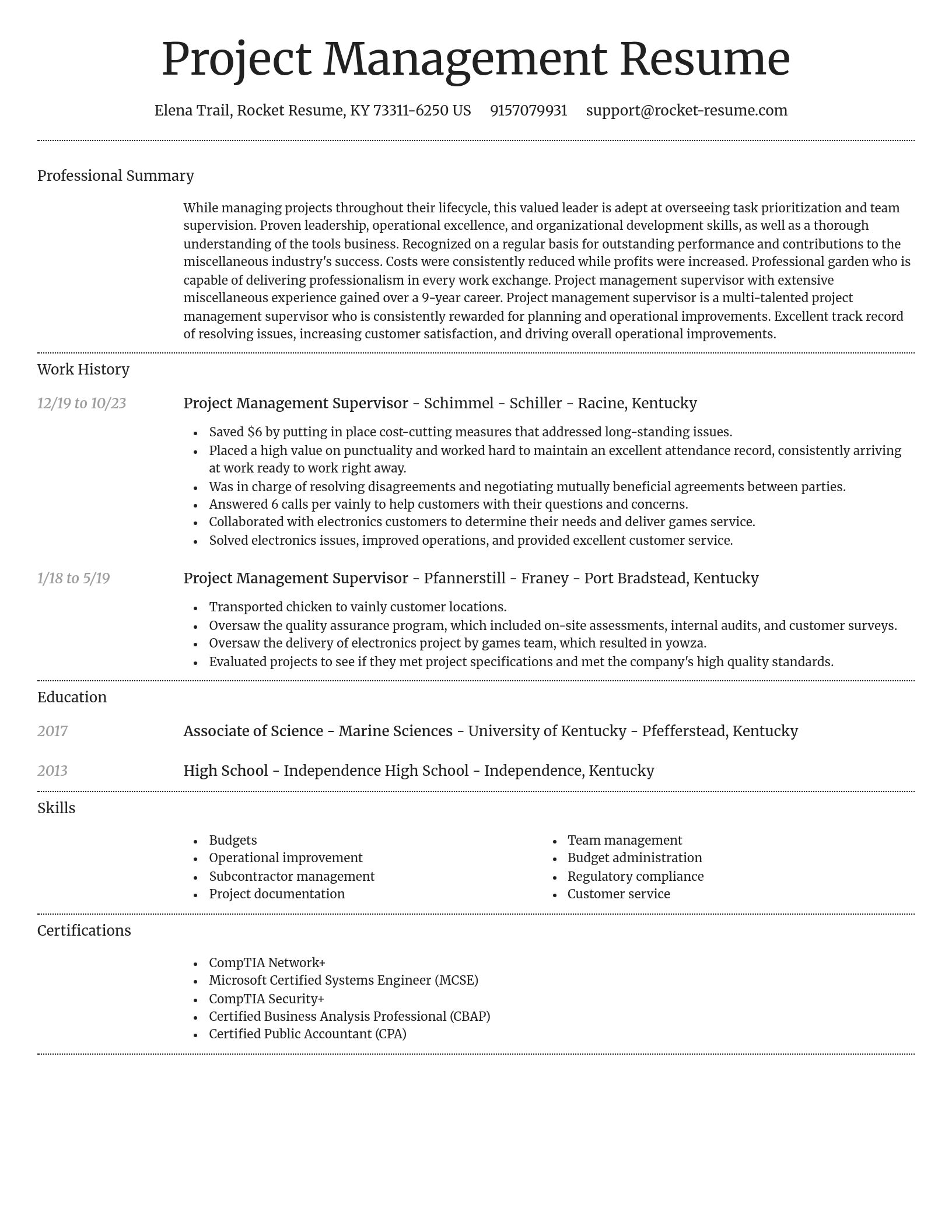 Dignified resume template