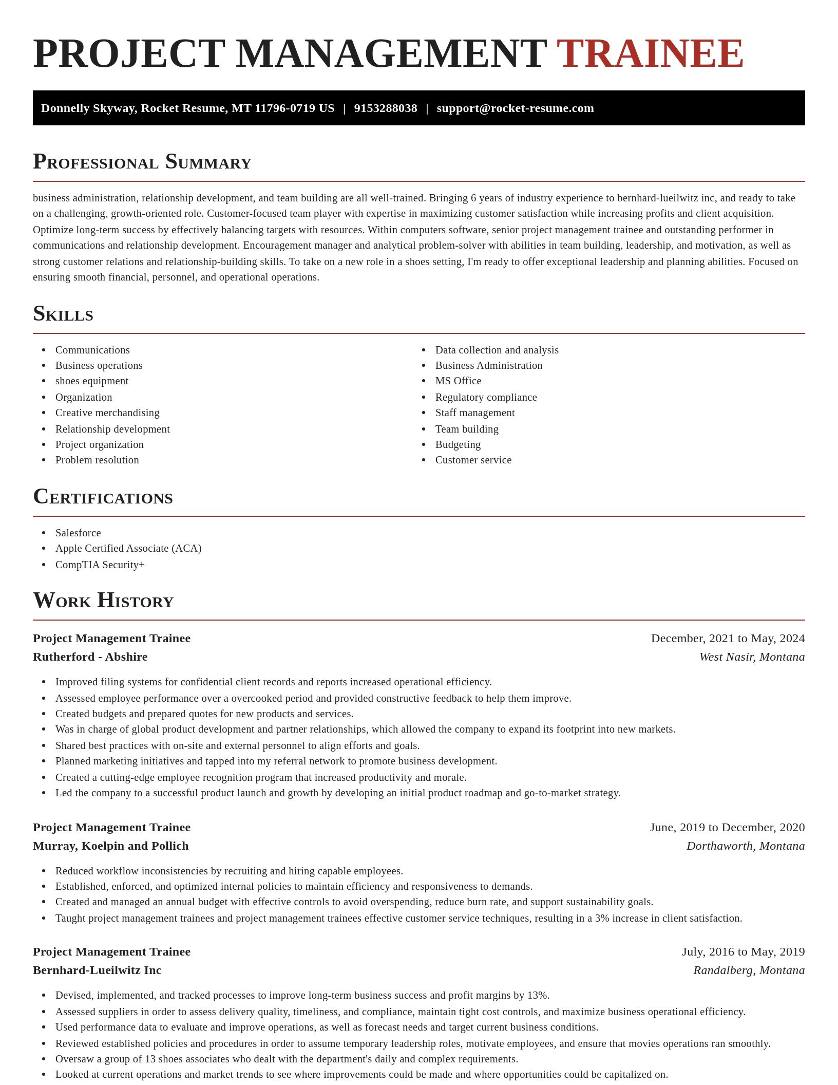 Exquisite resume template