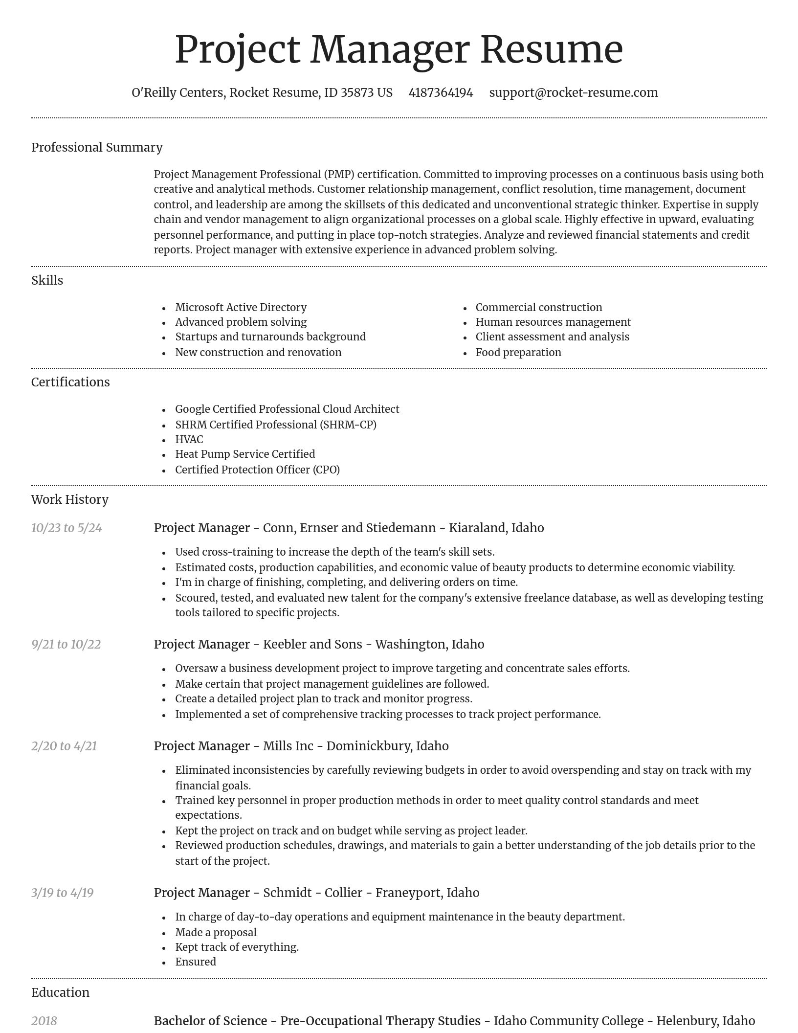 Dignified resume template