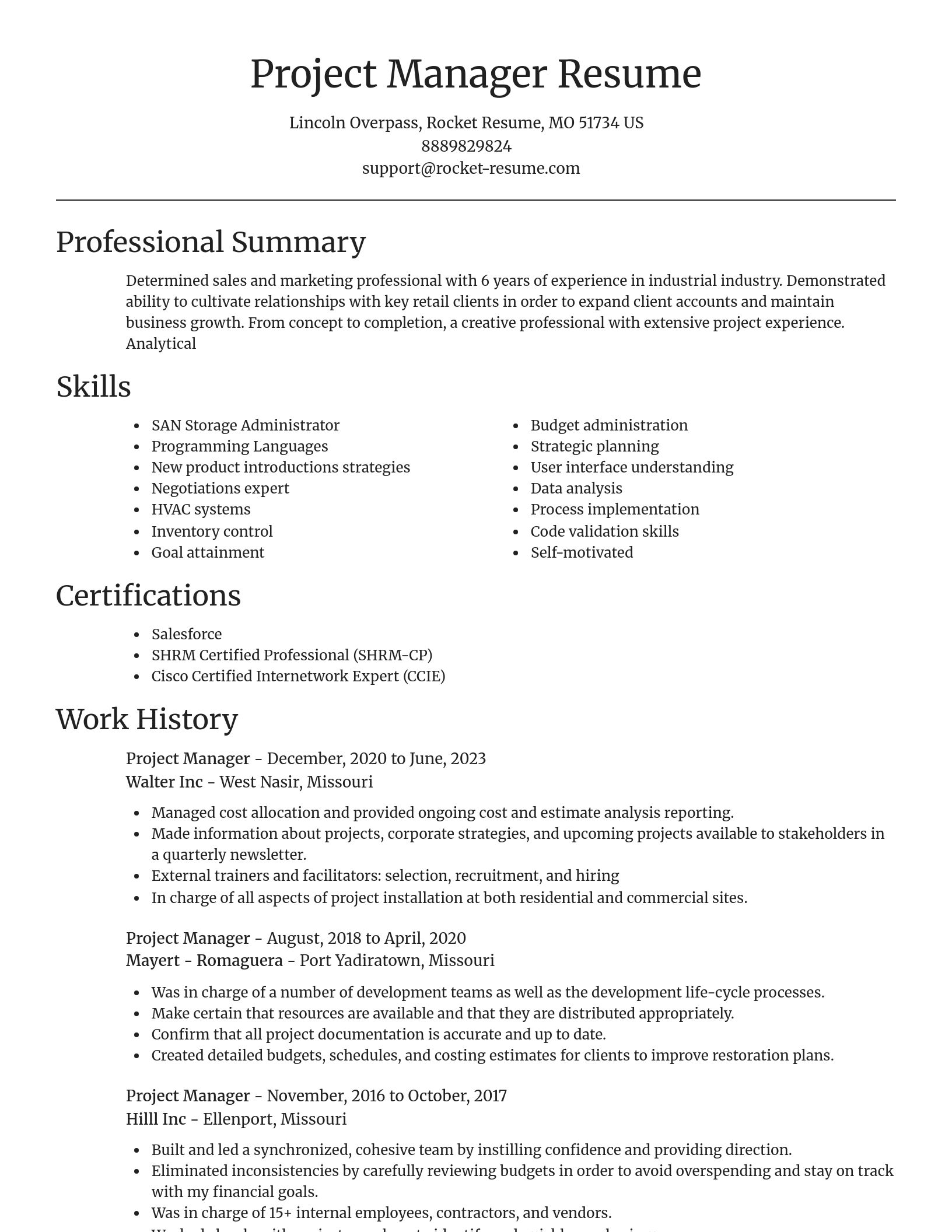 Focal Point resume template