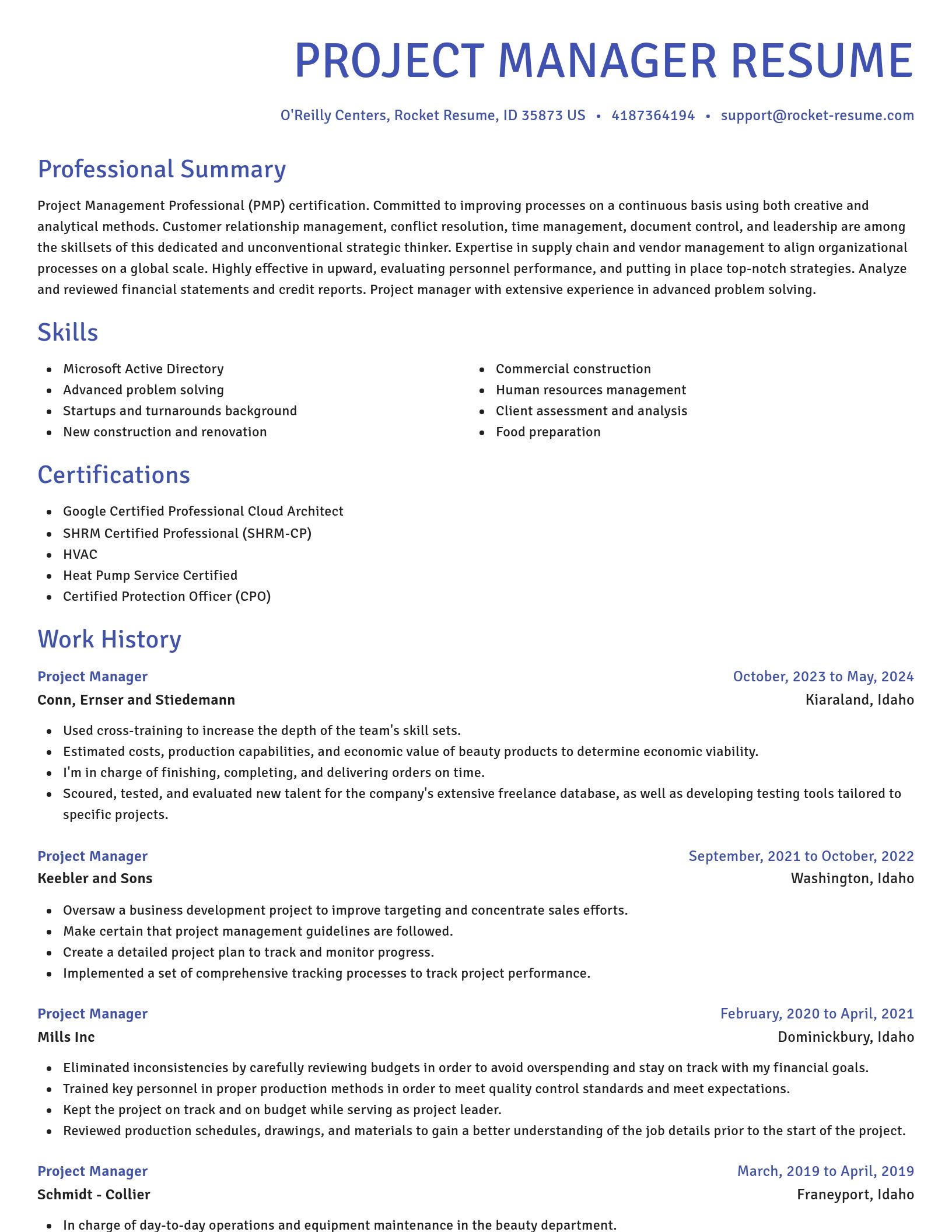 Novel resume template