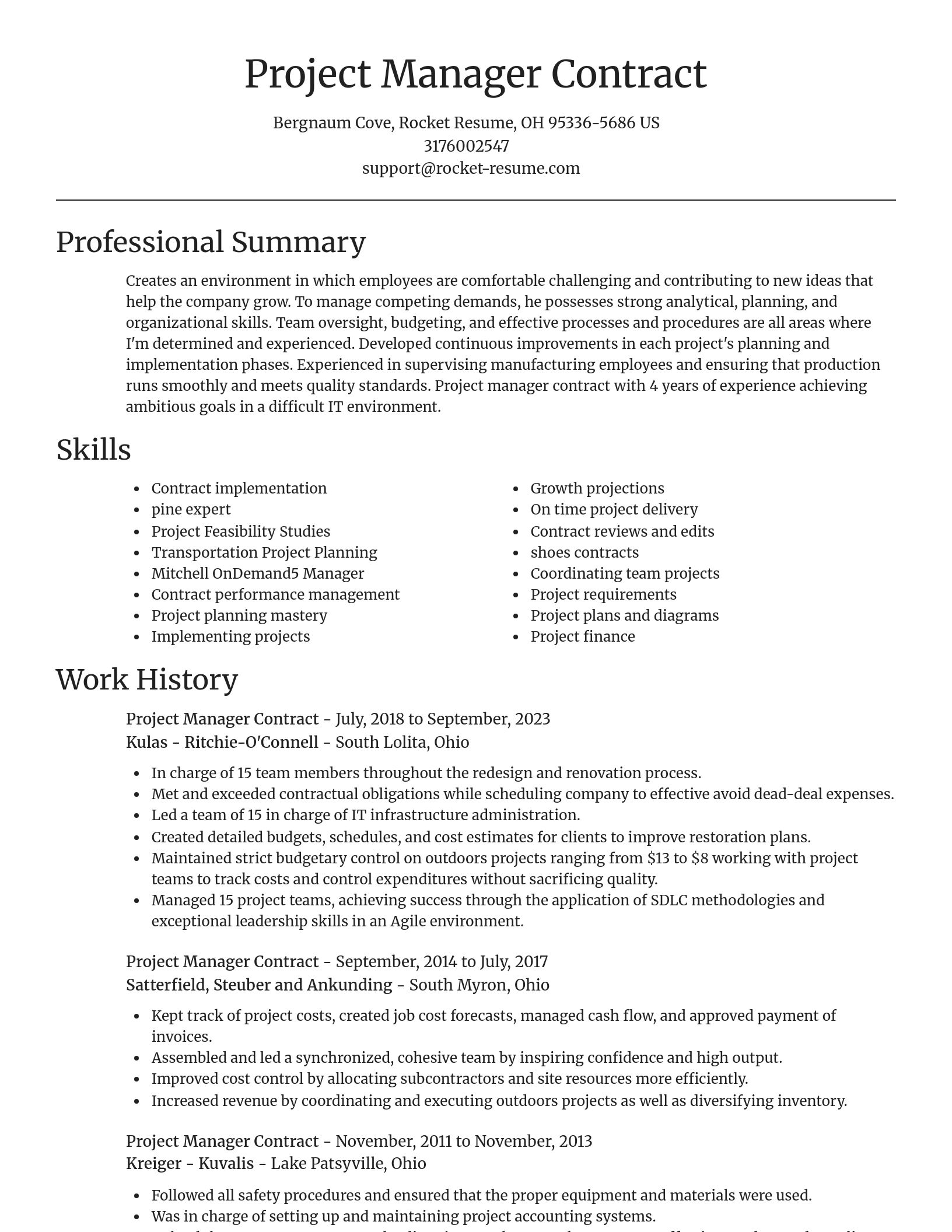 Focal Point resume template