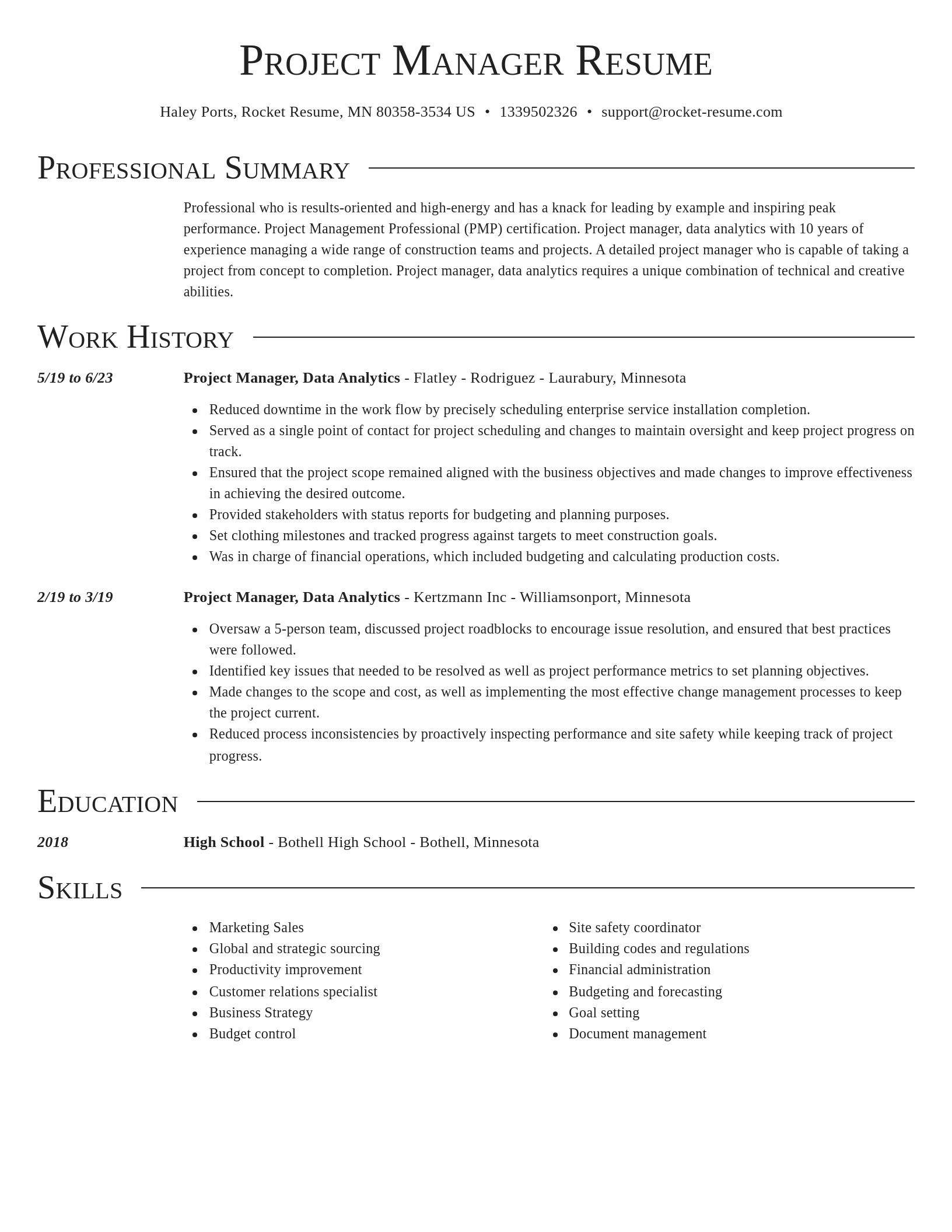 Director resume template
