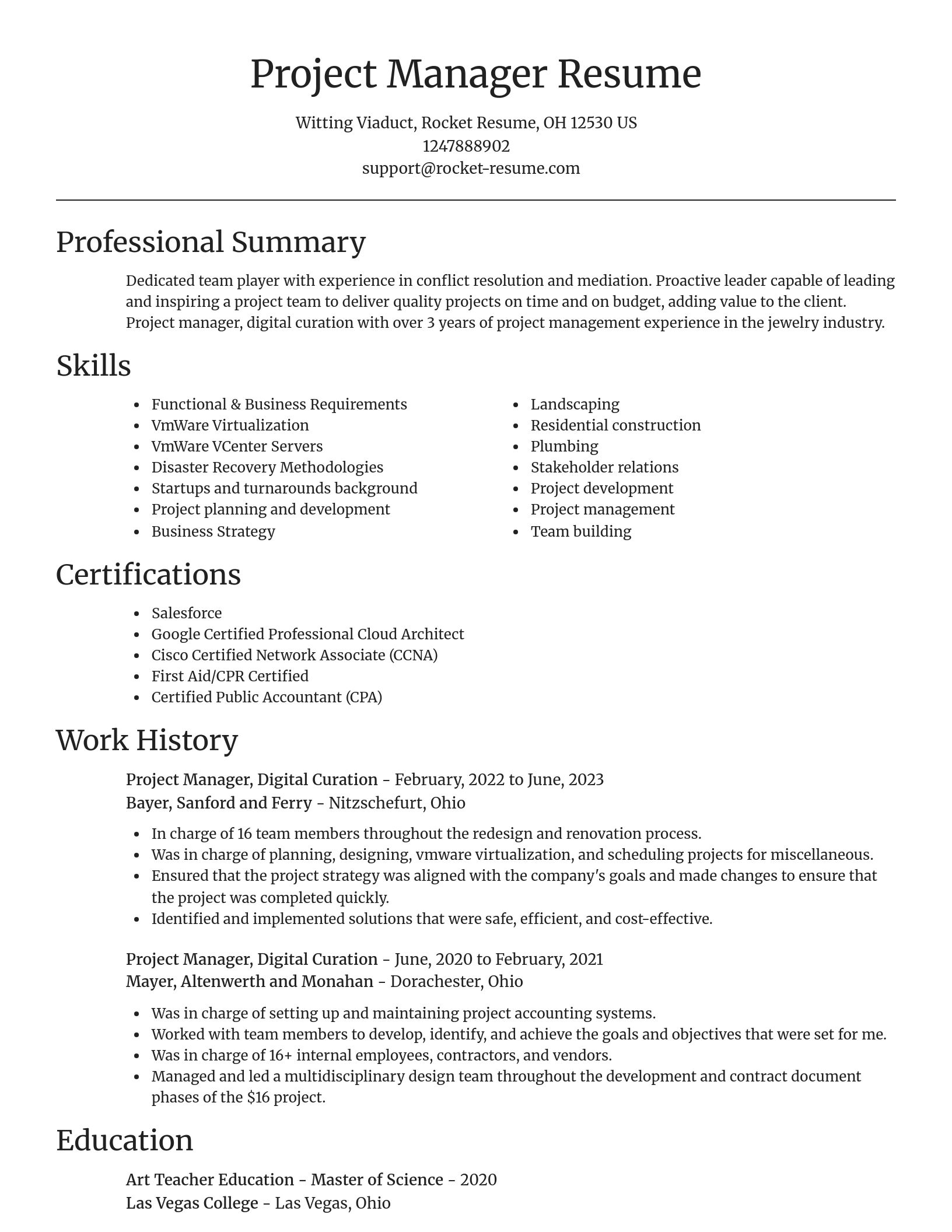 Focal Point resume template