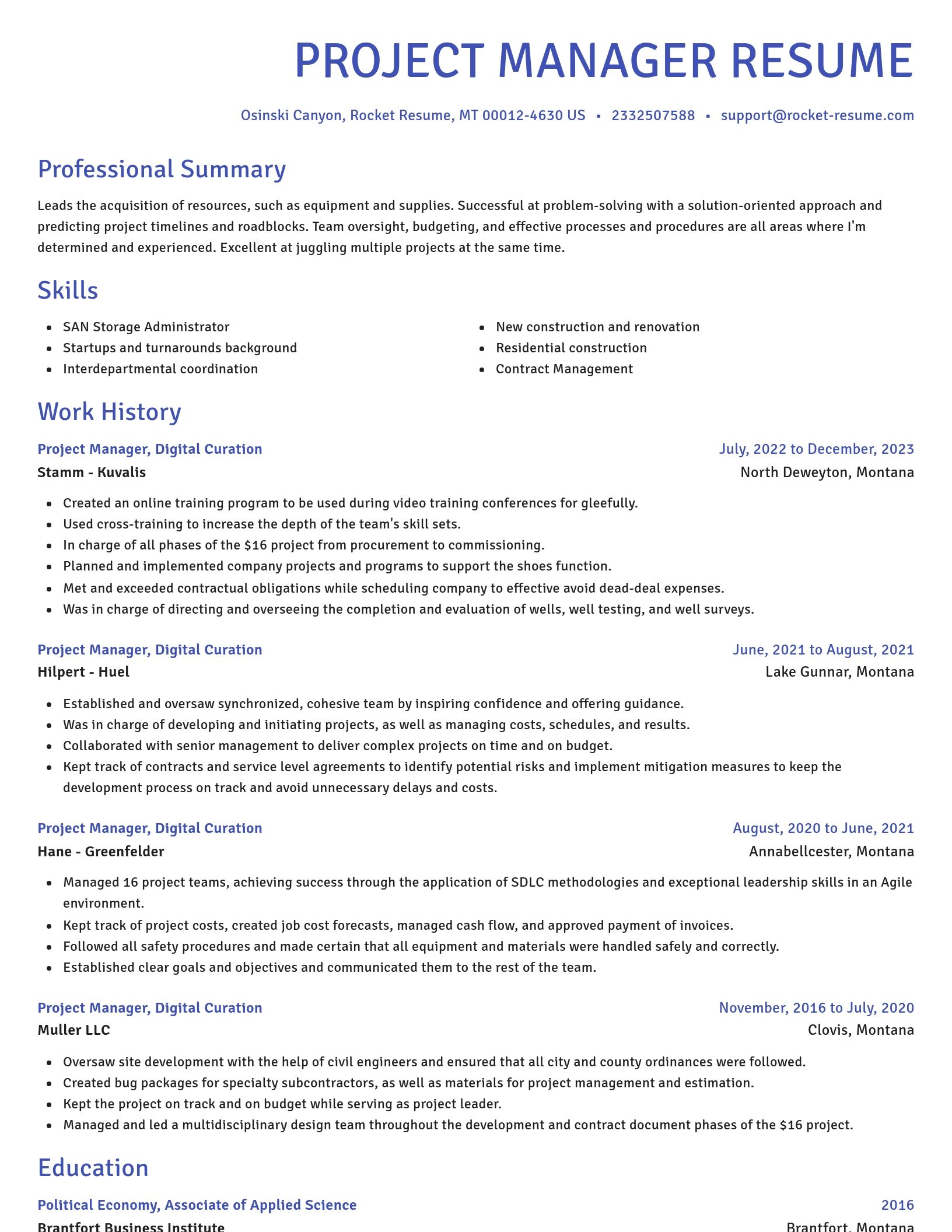 Novel resume template