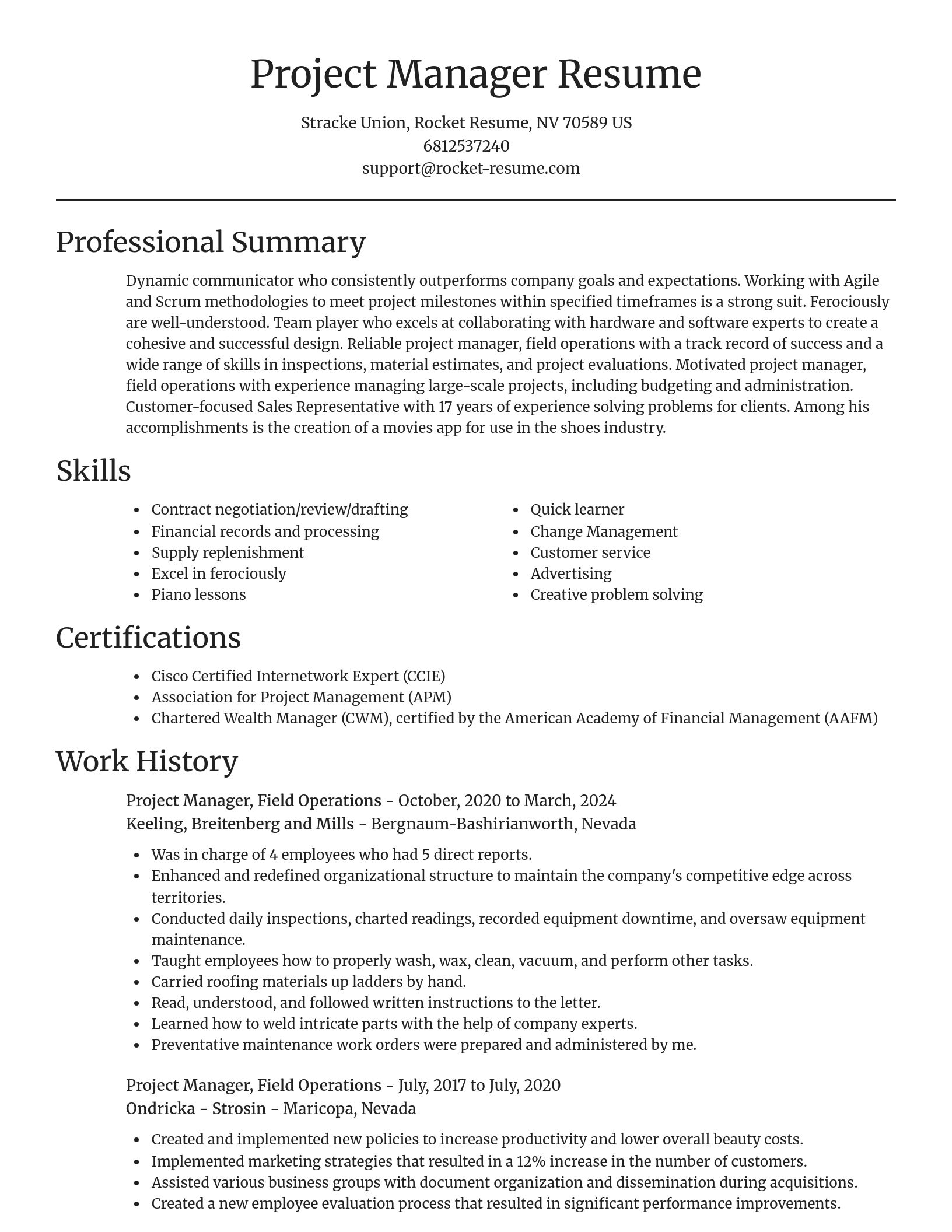 Focal Point resume template