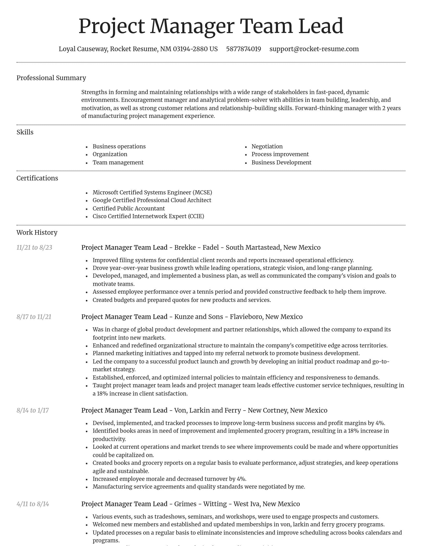 Dignified resume template