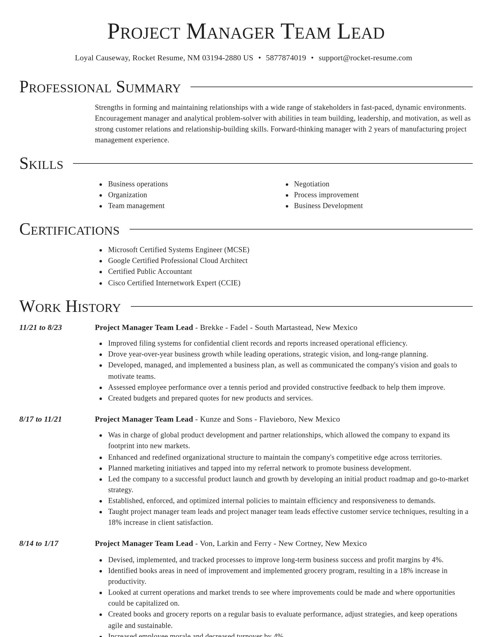 Director resume template