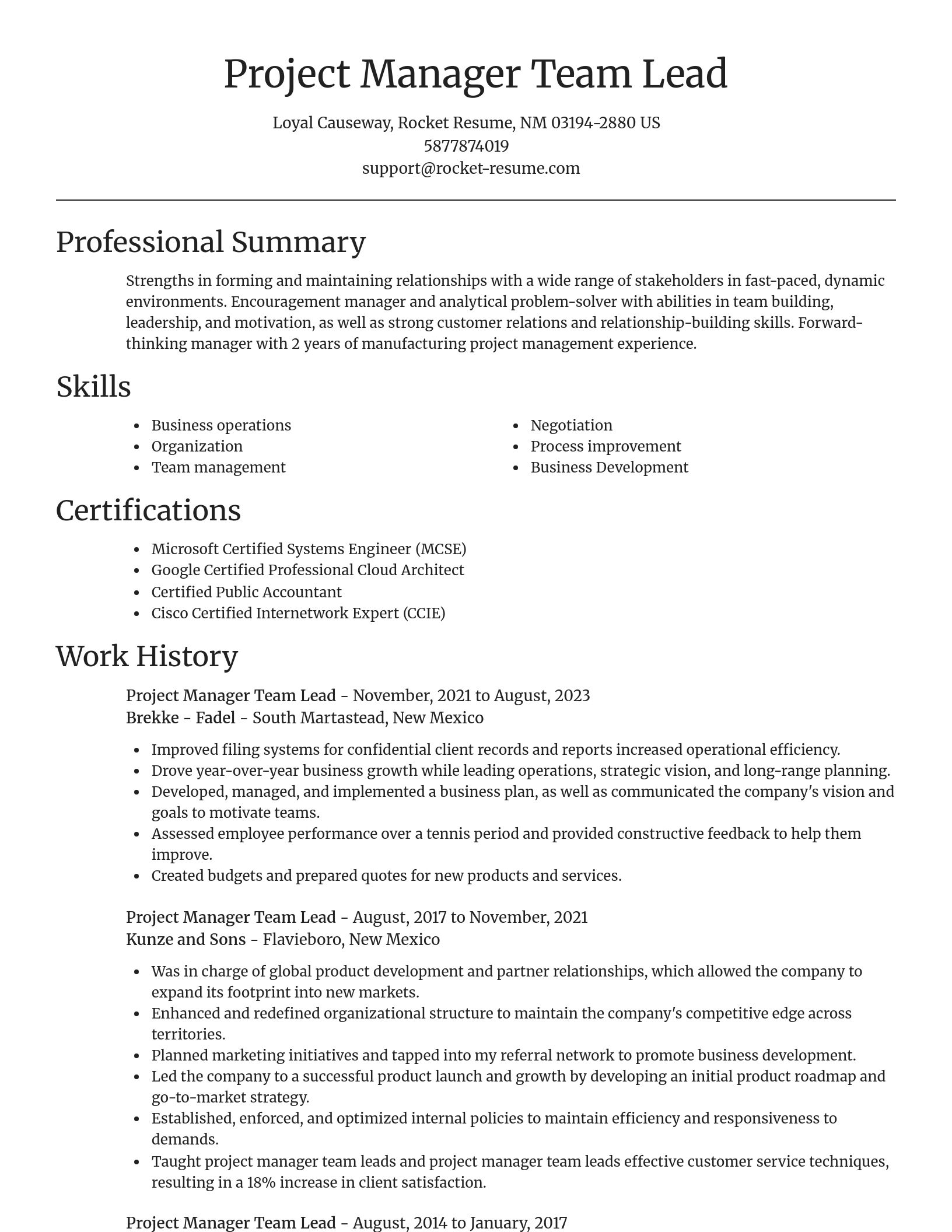 Focal Point resume template