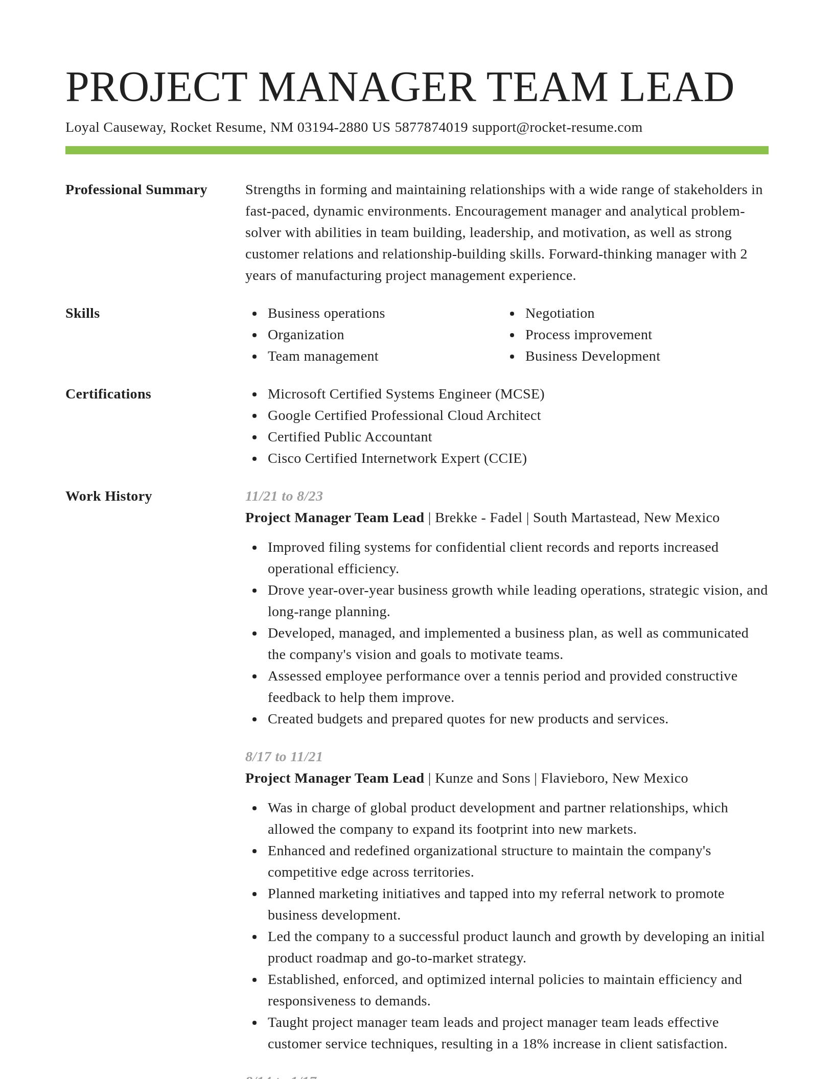 Smart resume template