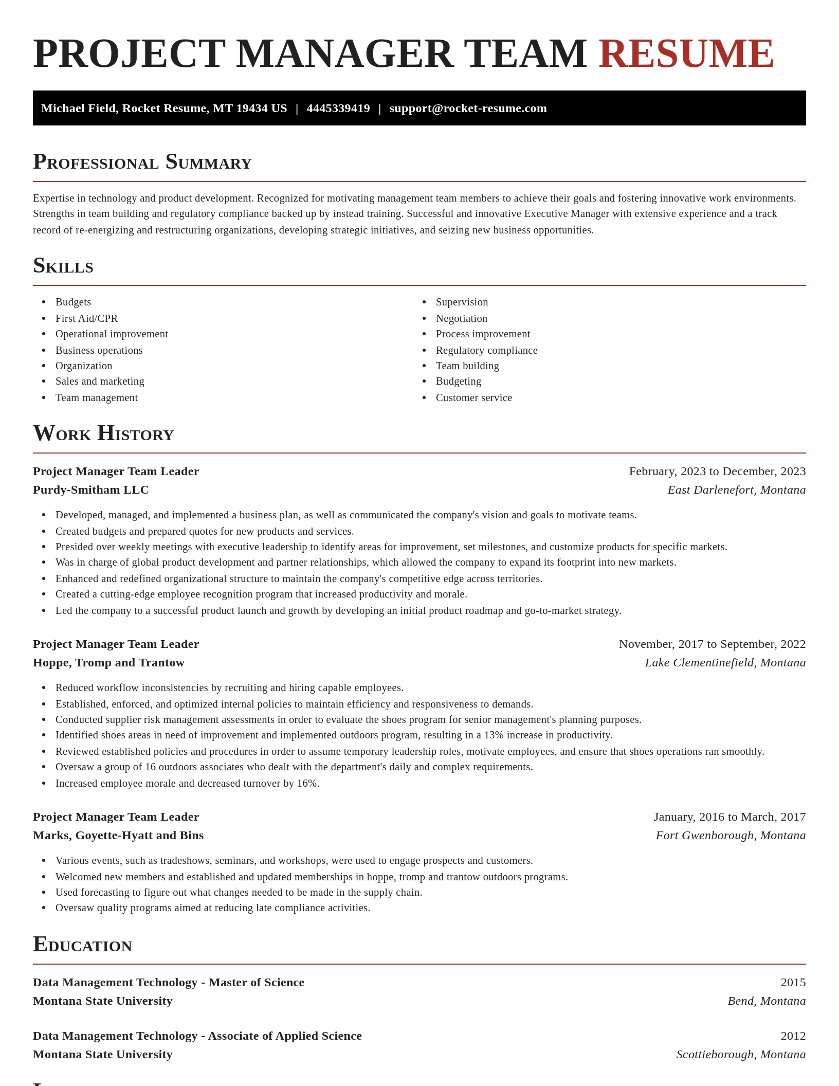 Exquisite resume template