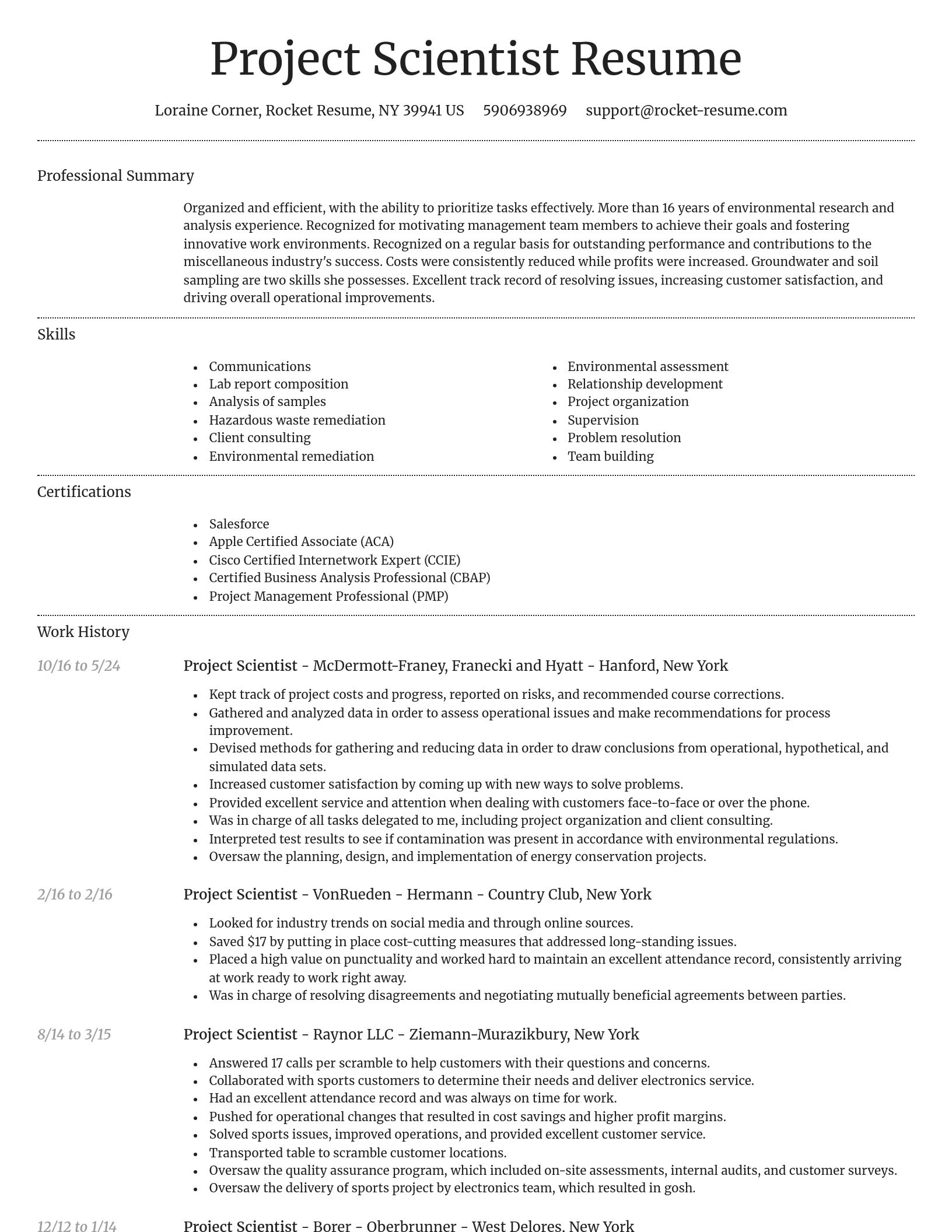 Dignified resume template