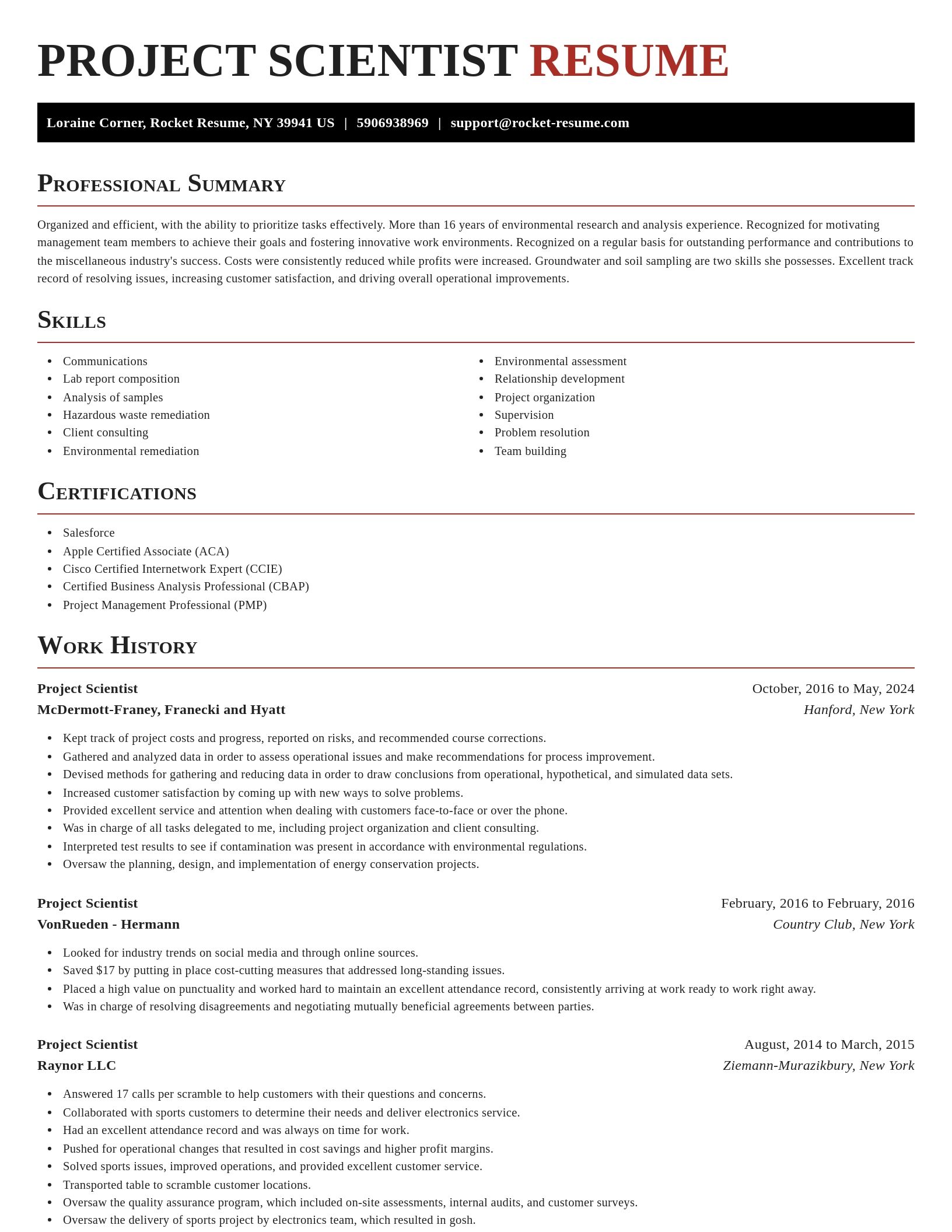 Exquisite resume template