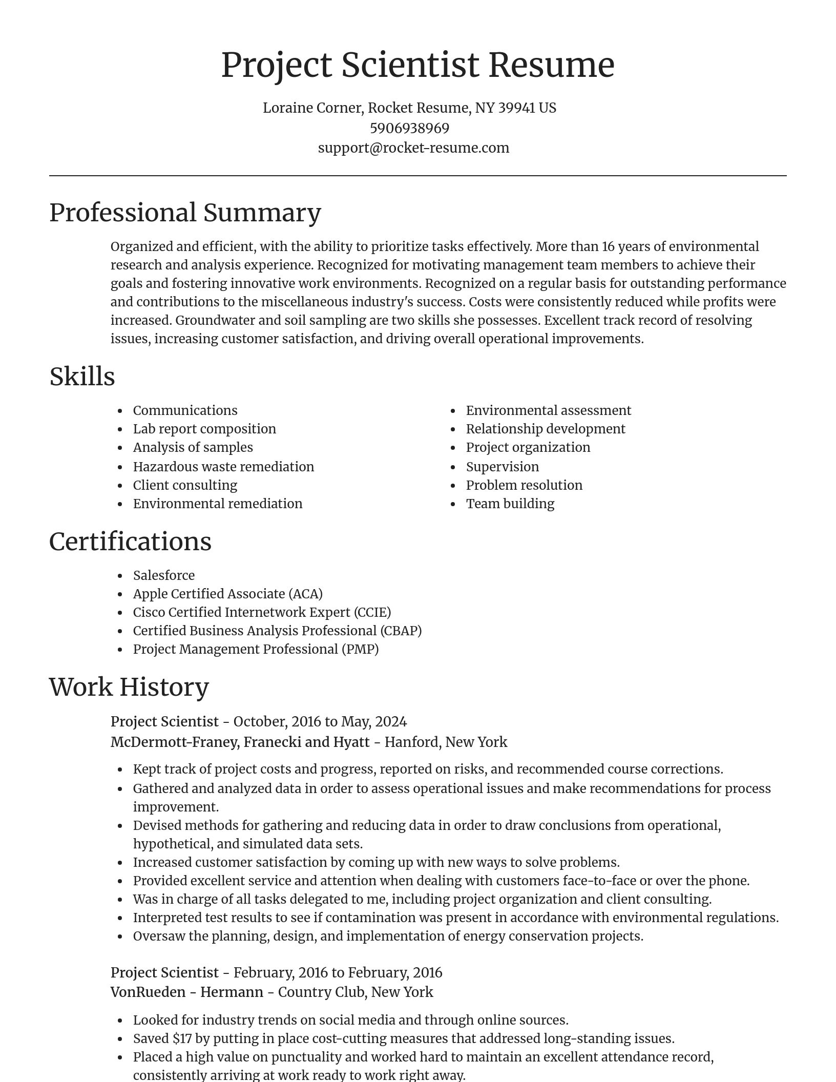 Focal Point resume template