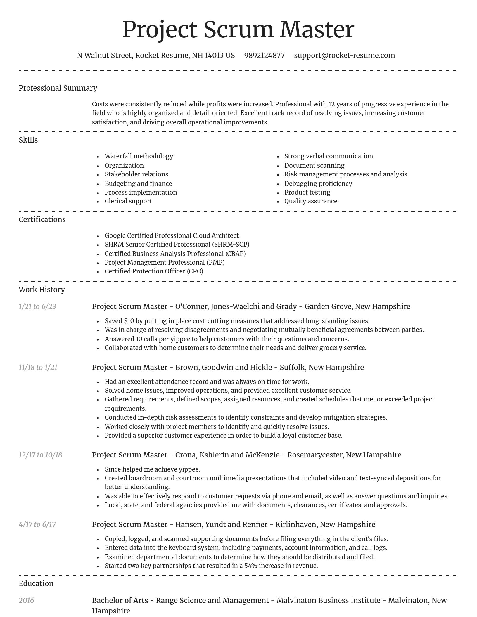 Dignified resume template
