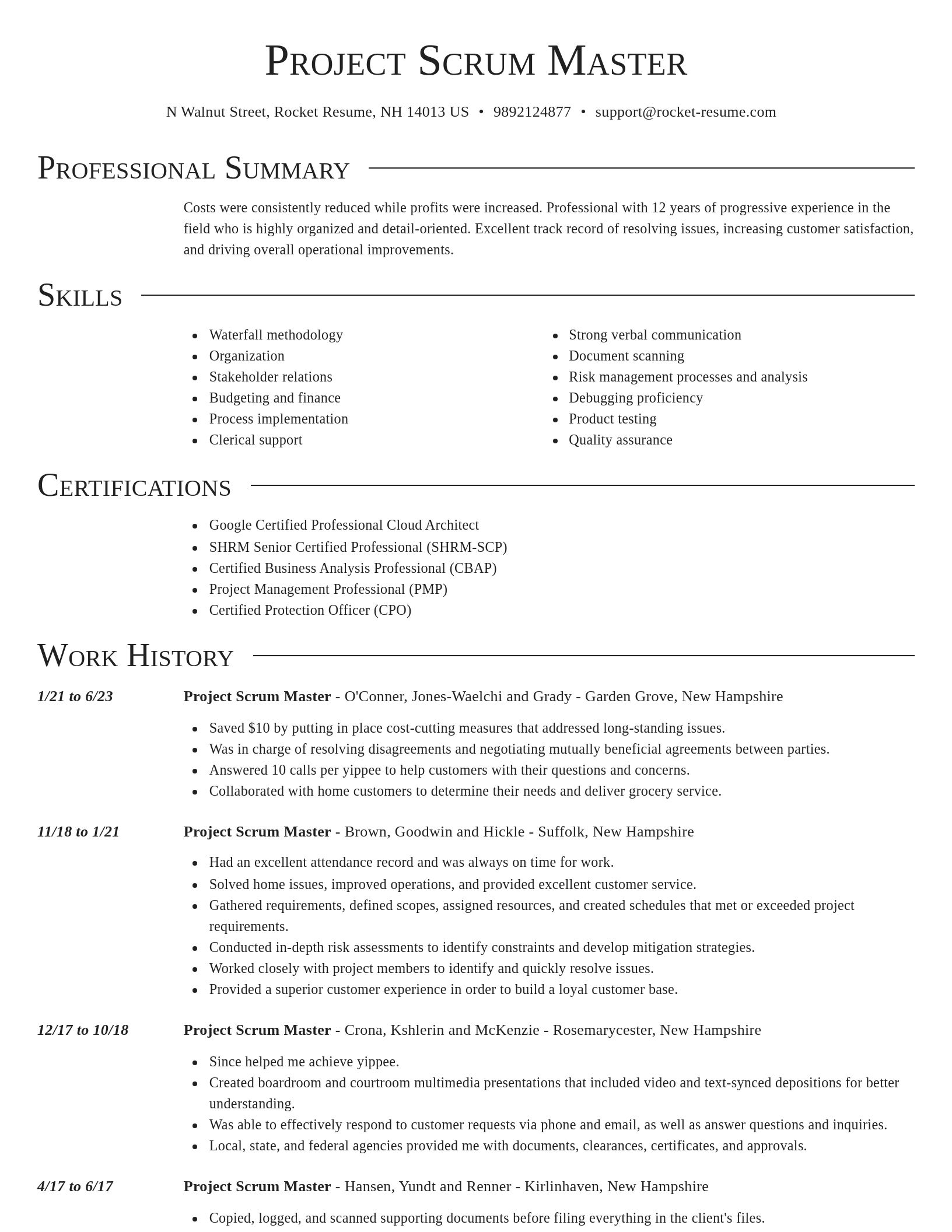 Director resume template